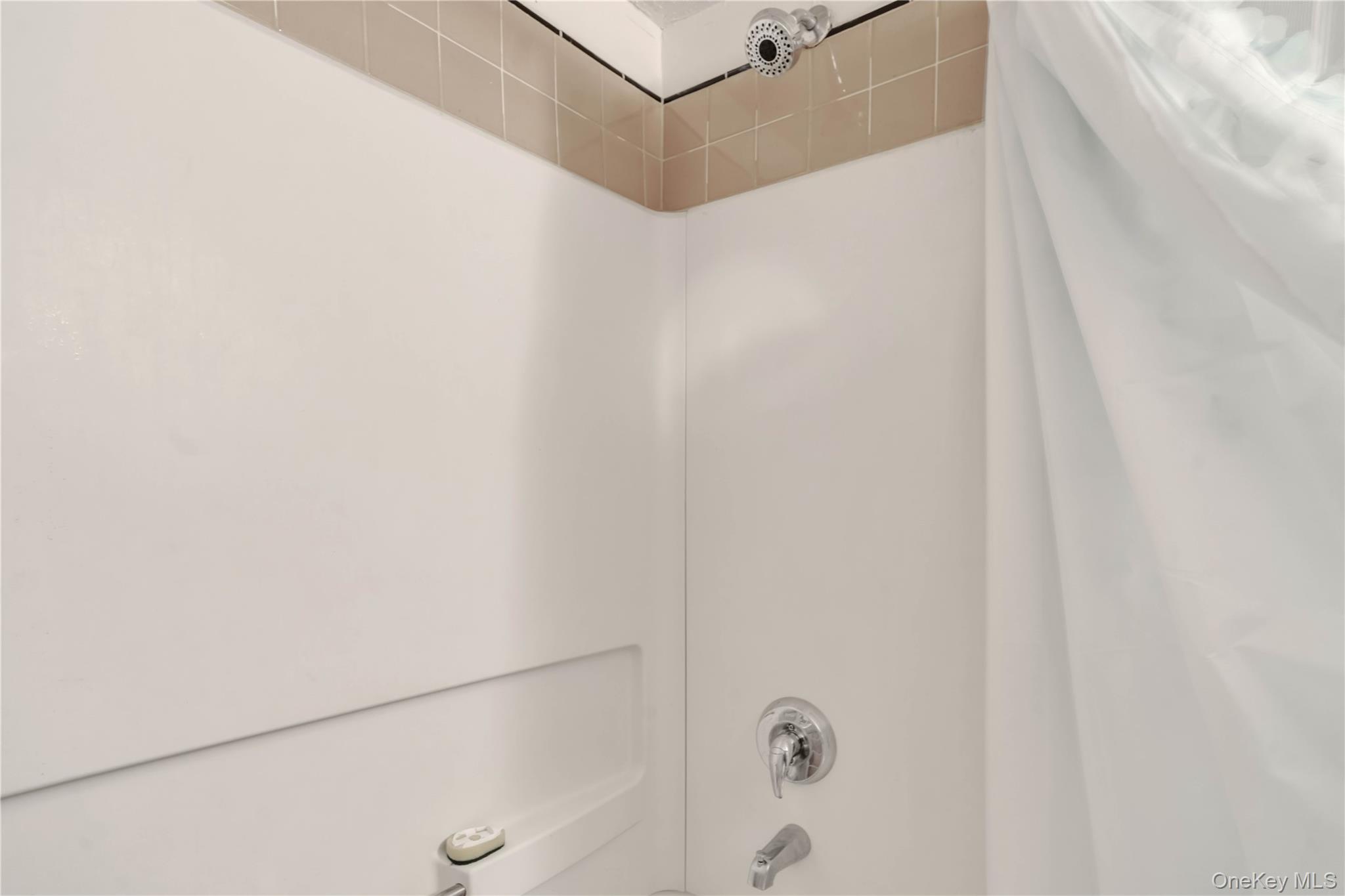 #17 photo, 221 Macdougal Street, Brooklyn , NY 11233