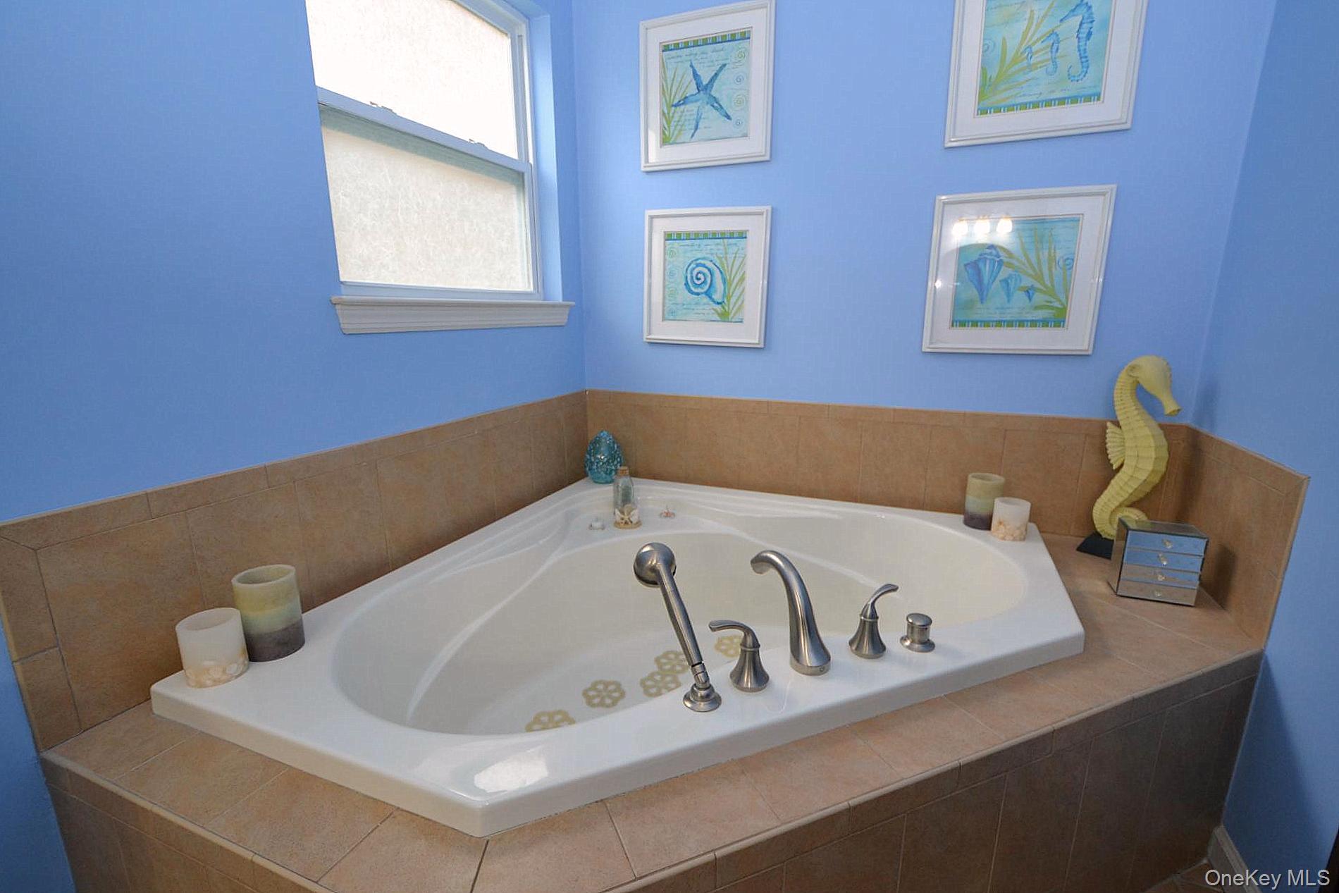 #14 photo, 11 Macintosh, サフォーク郡 Selden , NY 11784