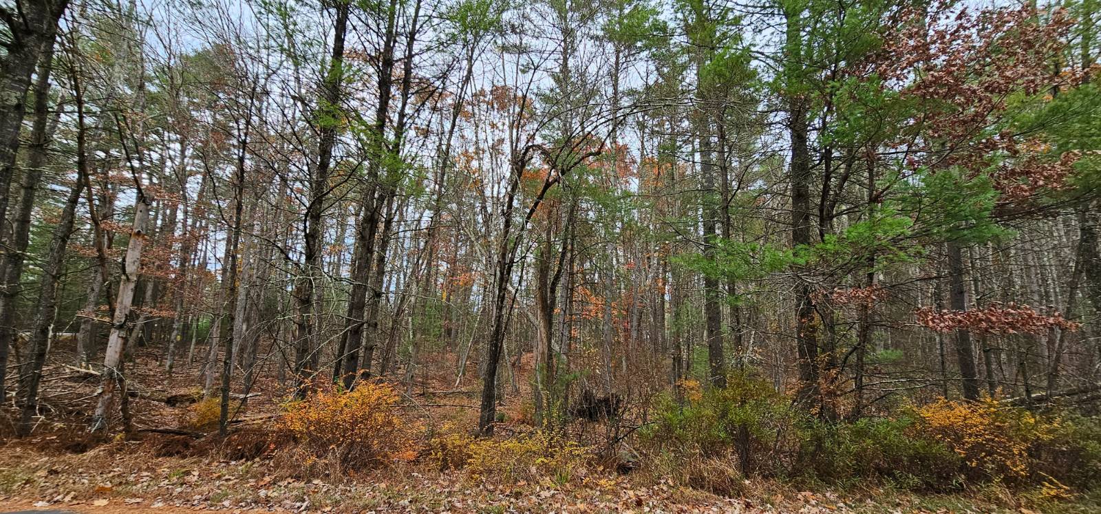 #2 photo, Lot 28 Summit Dr, Eldred , NY 12732