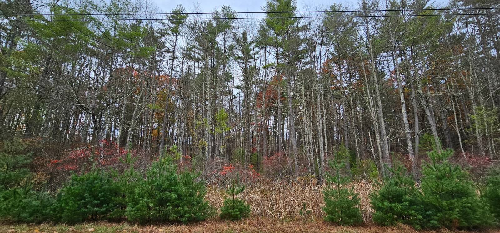 #3 photo, Lot 28 Summit Dr, Eldred , NY 12732