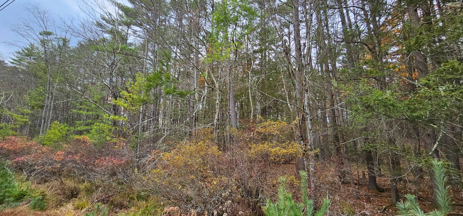 #6 photo, Lot 28 Summit Dr, Eldred , NY 12732