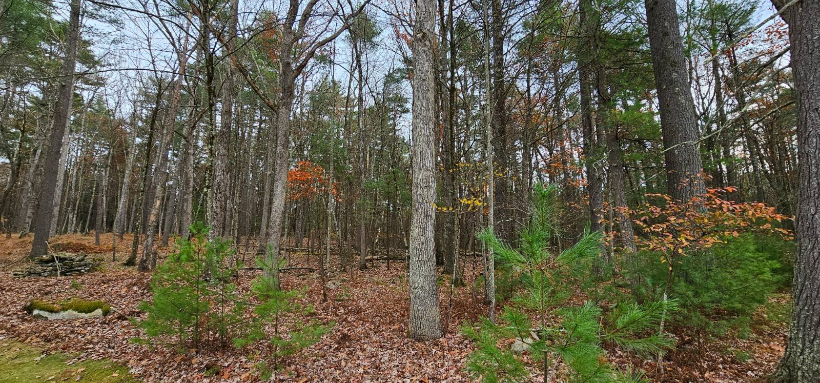 #23 photo, 191 Eldred-Yulan Rd, Eldred , NY 12732