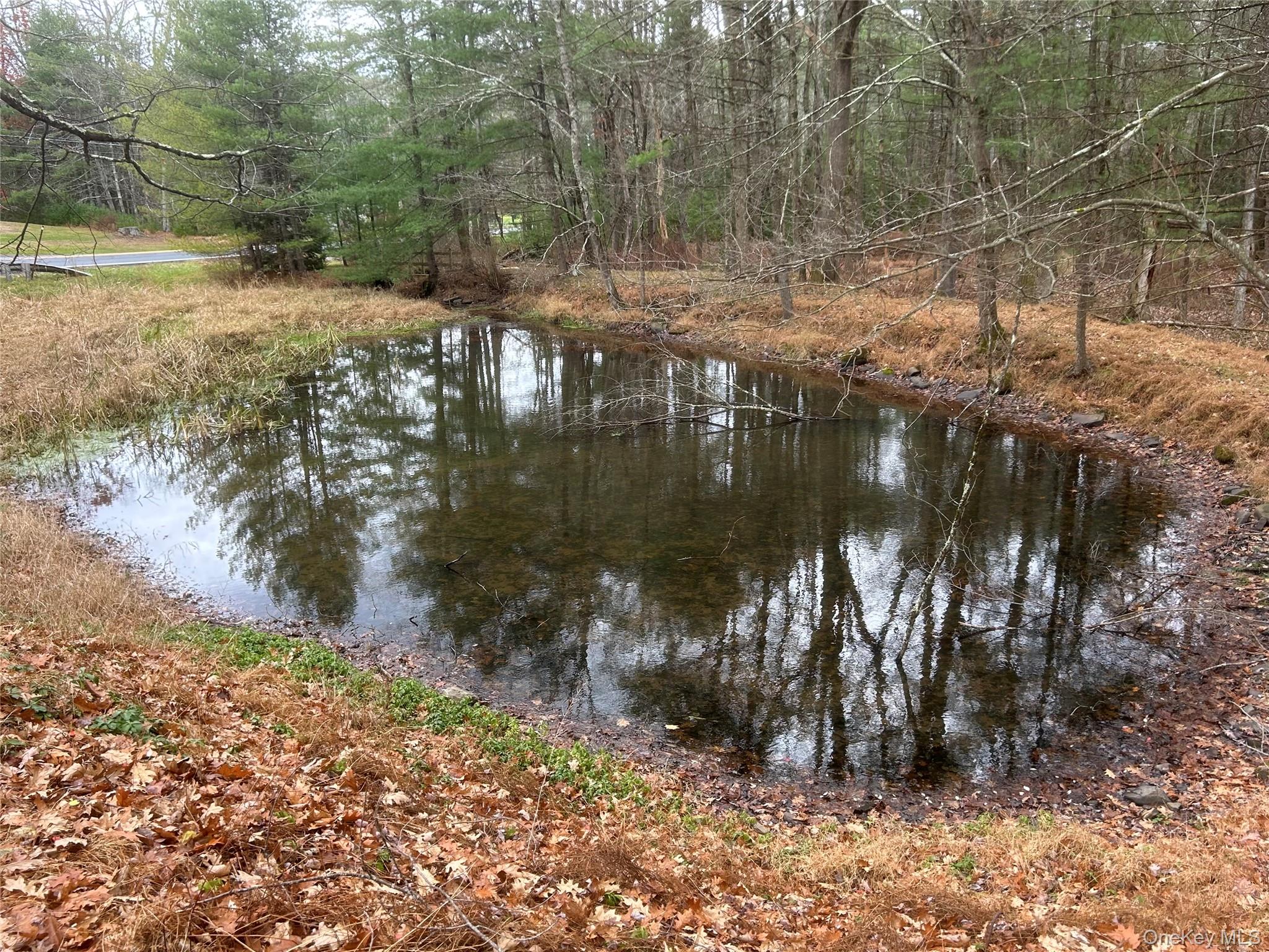 #20 photo, 65 Eldred Yulan Road, Eldred , NY 12732