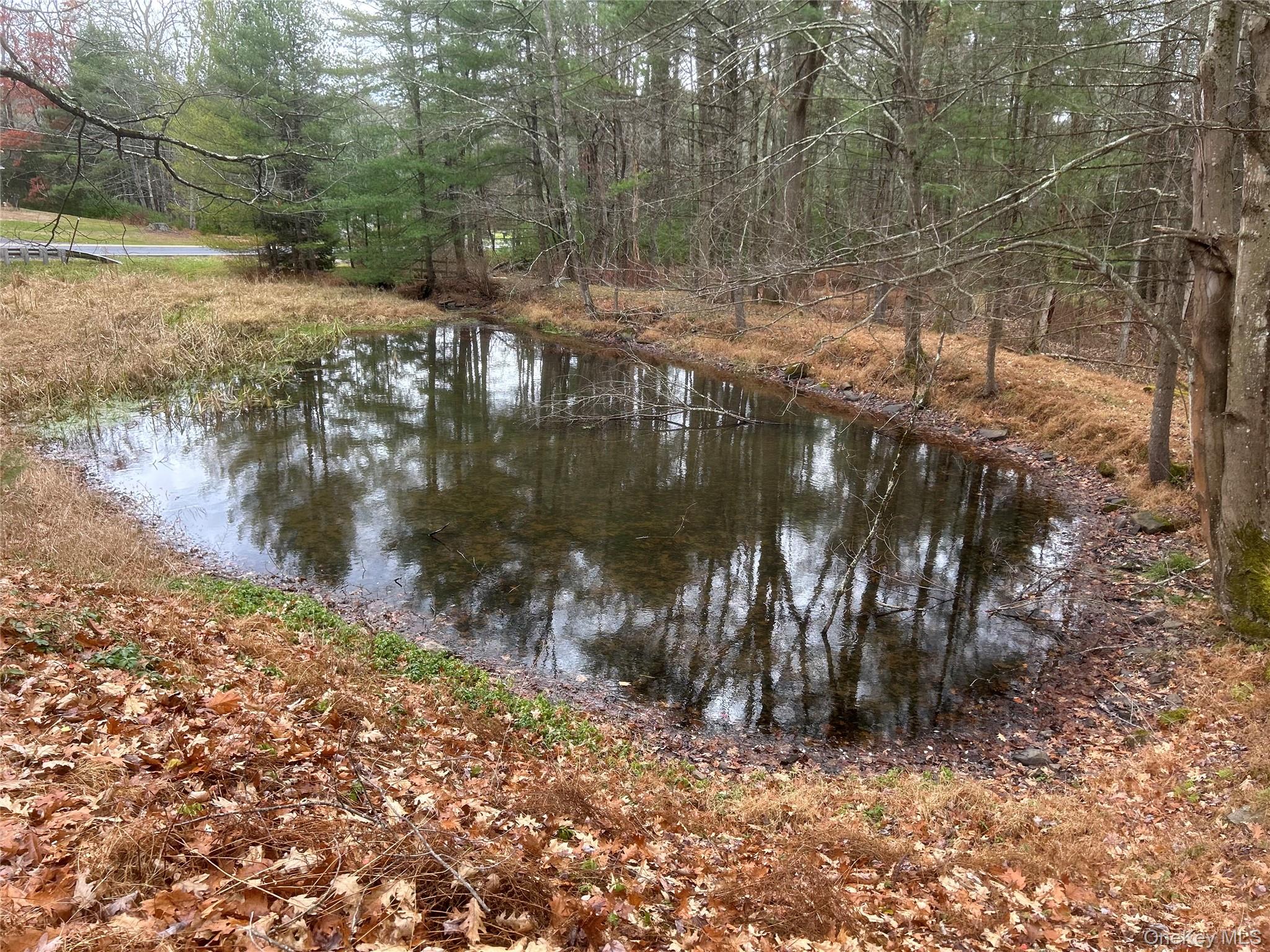 #3 photo, 65 Eldred Yulan Road, Eldred , NY 12732