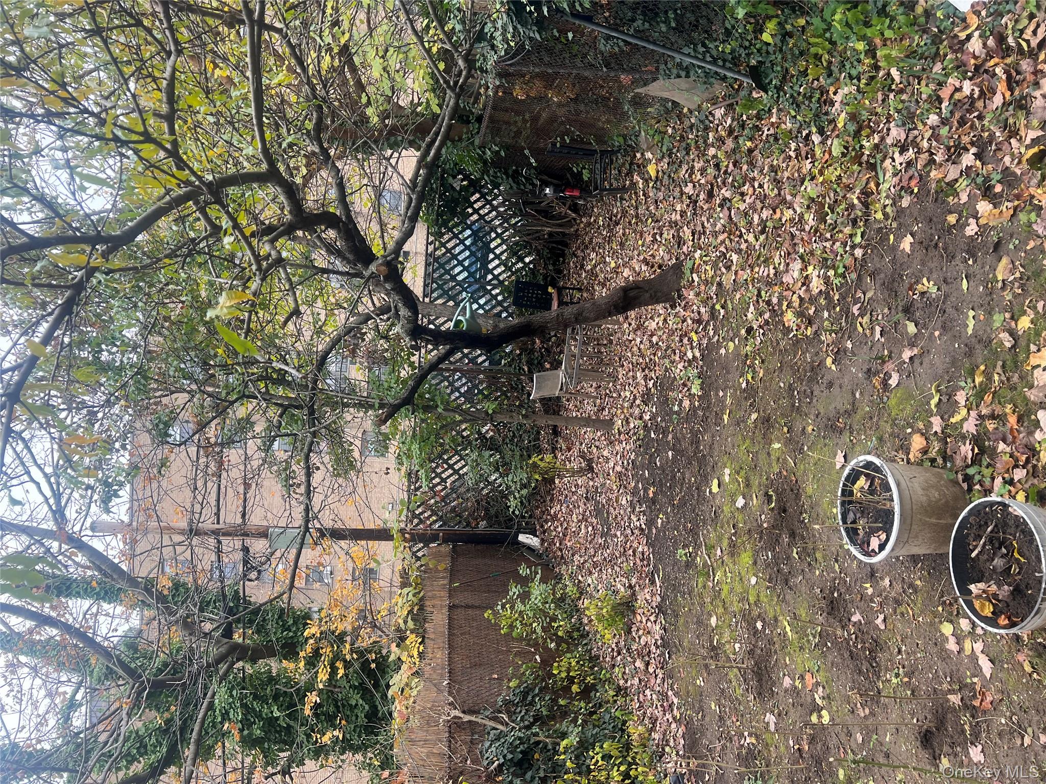 #8 photo, 160 Decatur Street, Brooklyn , NY 11233