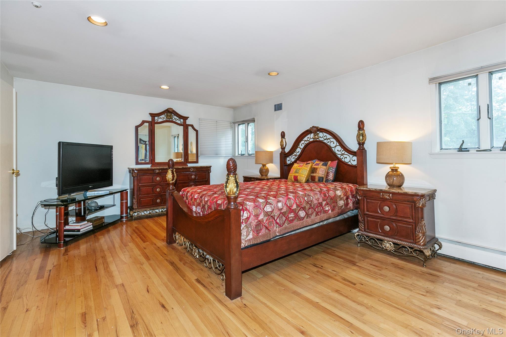 #18 photo, 123 South Drive, Manhasset Hills , NY 11040