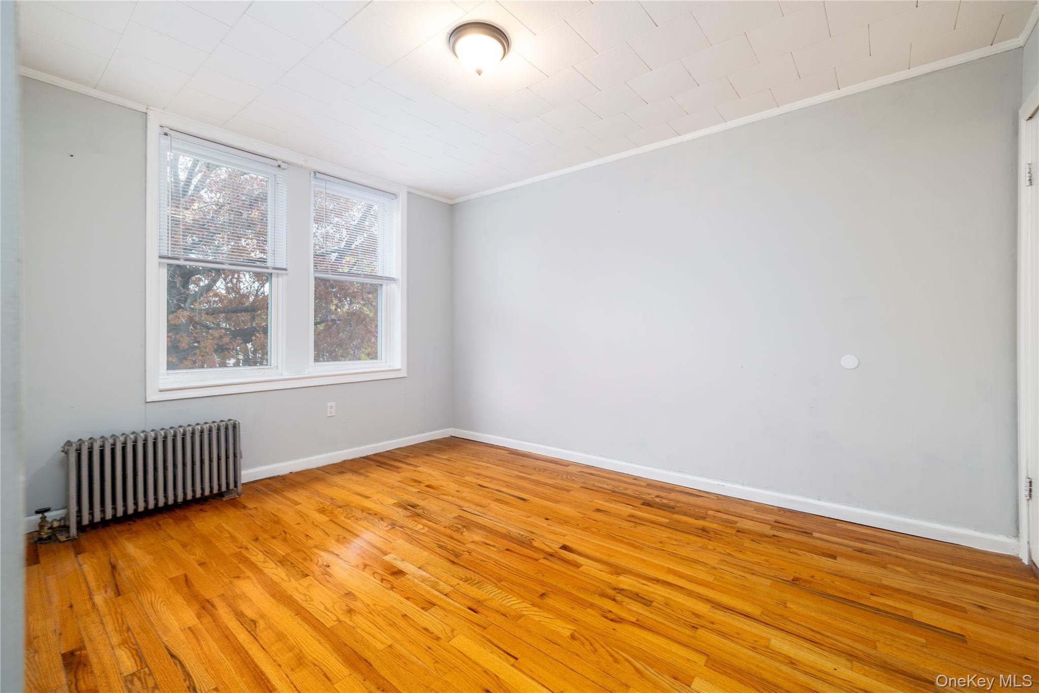 #13 photo, 2060 64th Street, Brooklyn , NY 11204