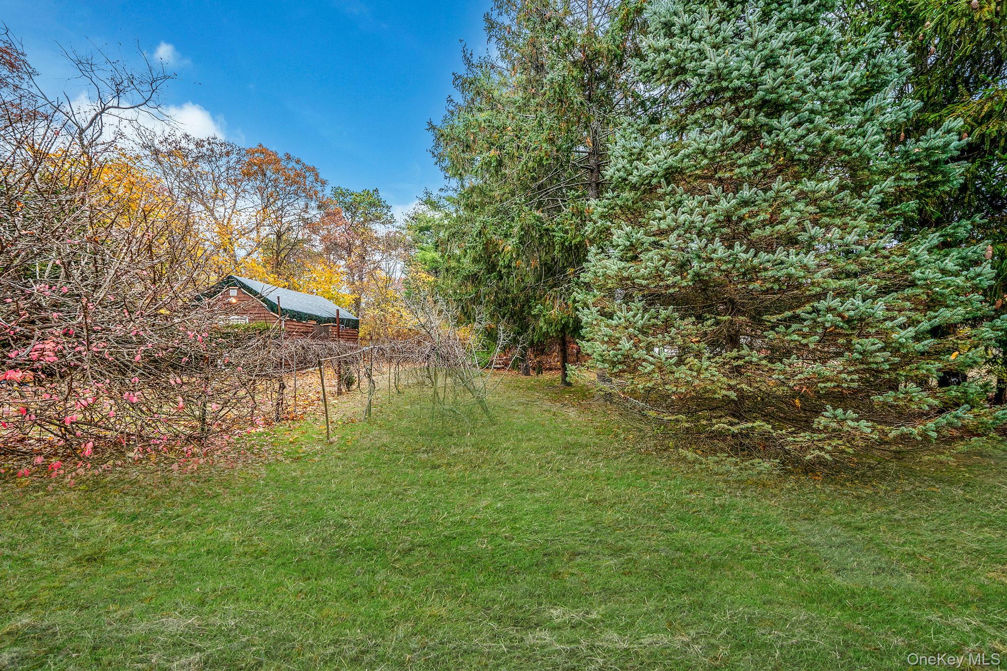 #3 photo, 85 Hawthorne Street, Selden , NY 11784