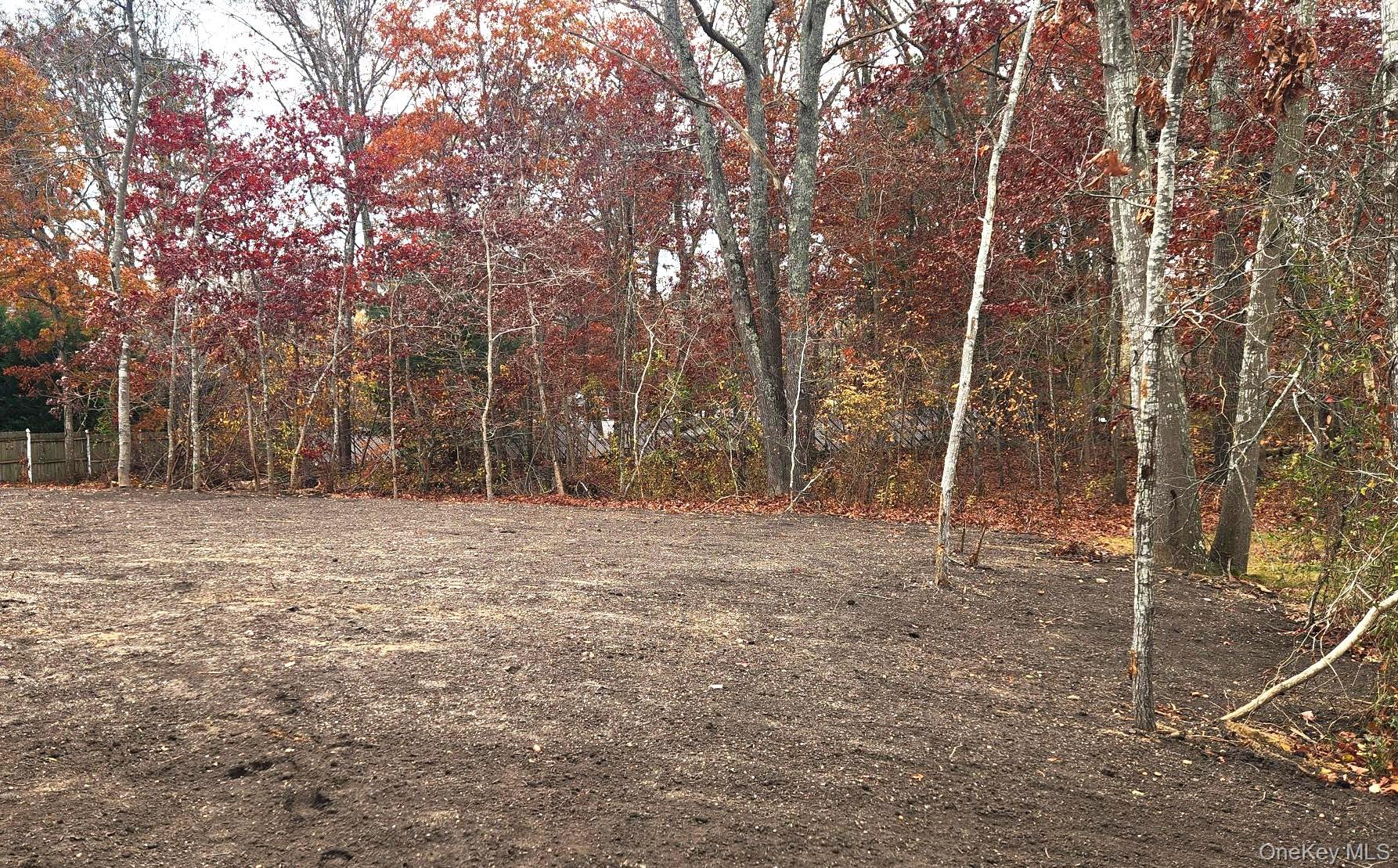 #14 photo, 45 Kingsland Avenue, Shirley , NY 11967