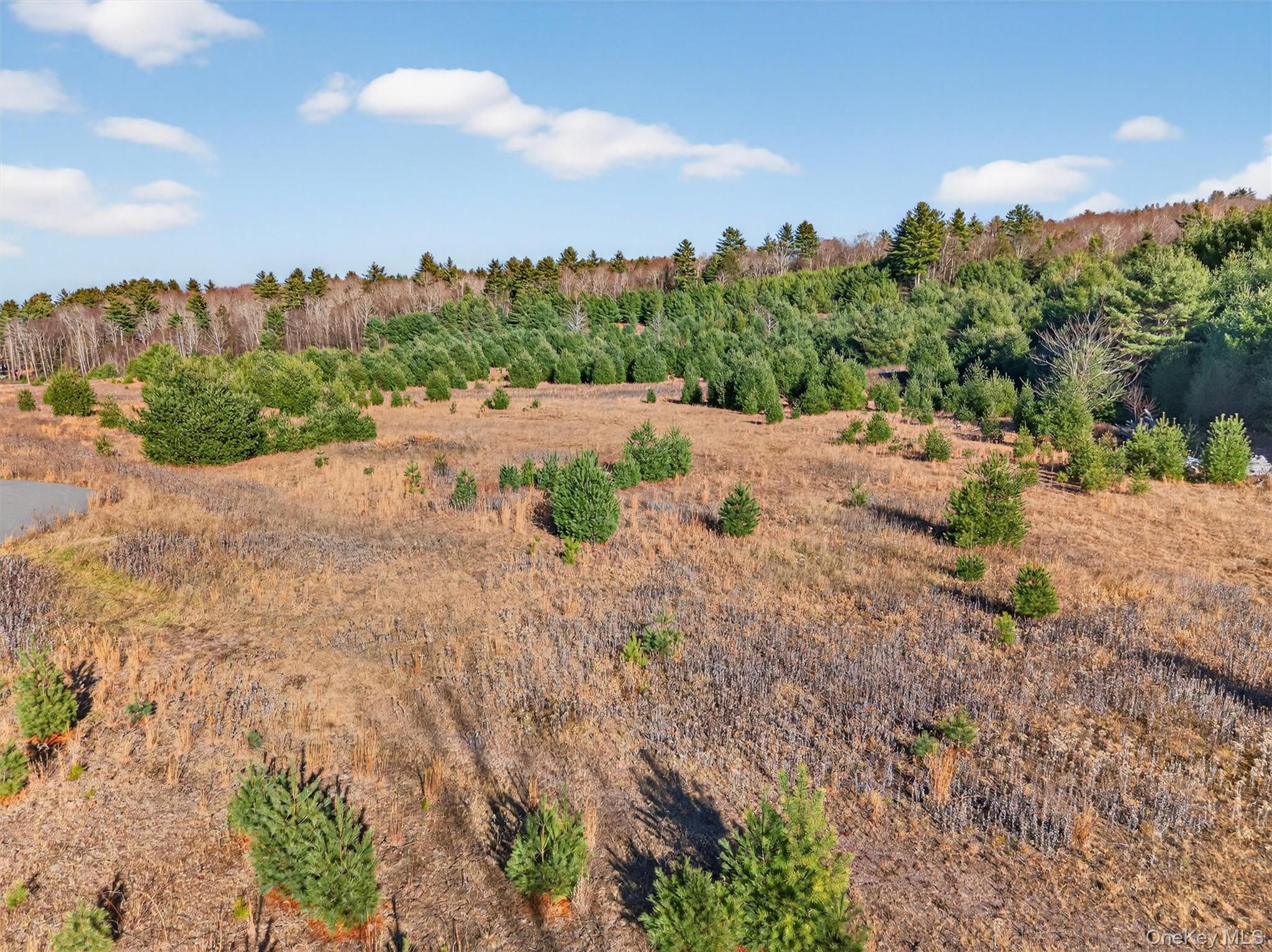 #12 photo, Marsh Road, Fallsburg , NY 12733