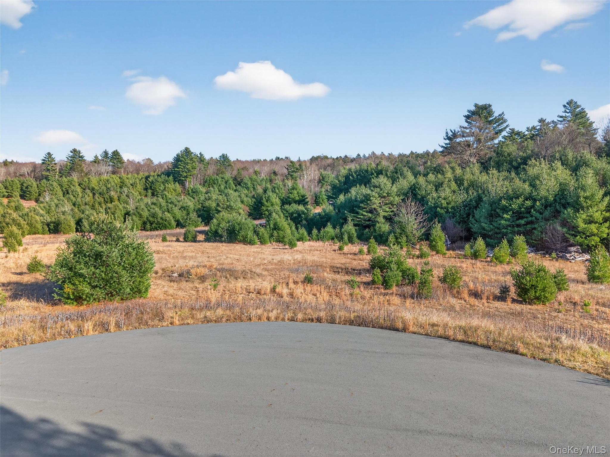 #13 photo, Marsh Road, Fallsburg , NY 12733