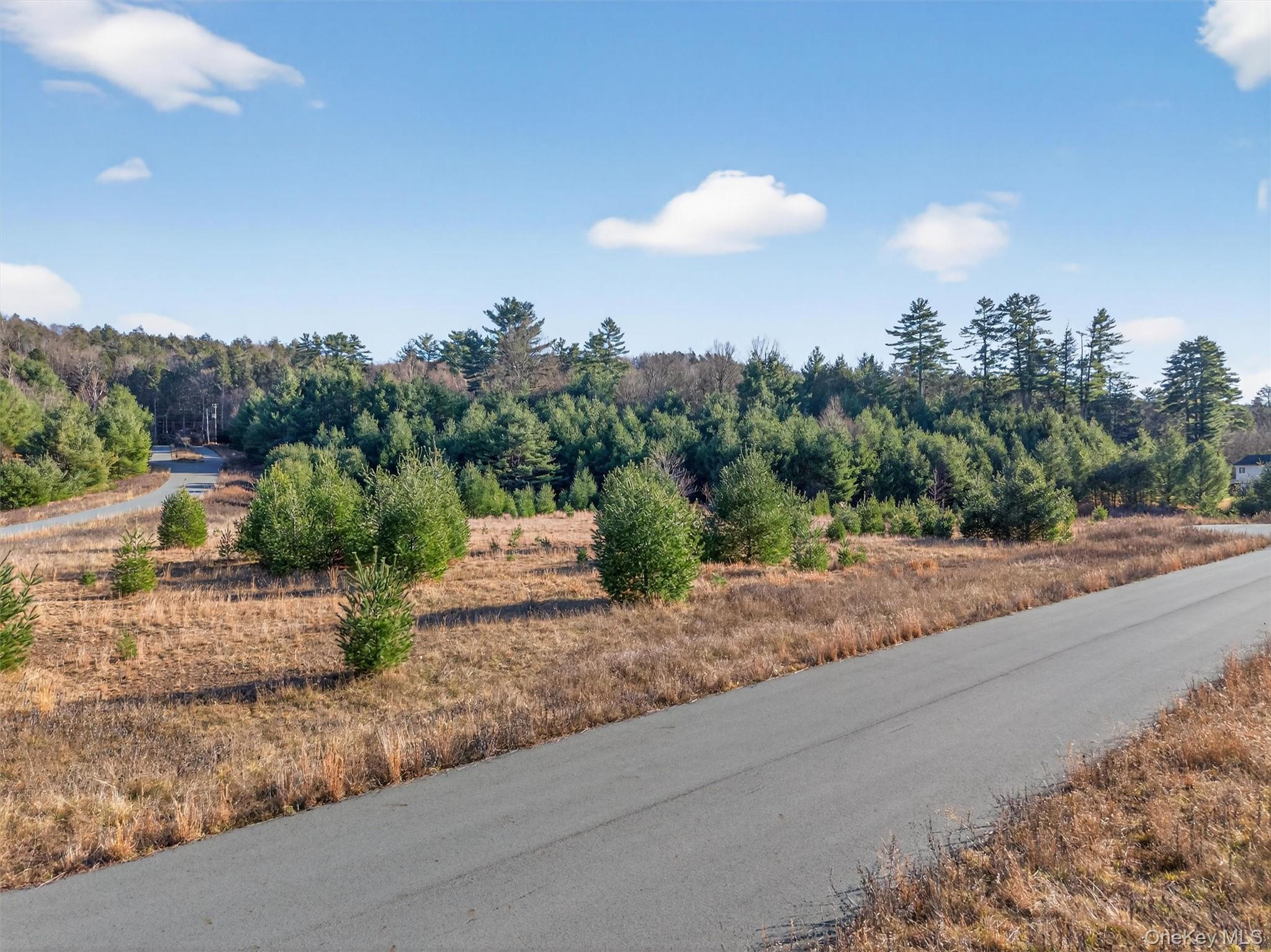 #14 photo, Marsh Road, Fallsburg , NY 12733