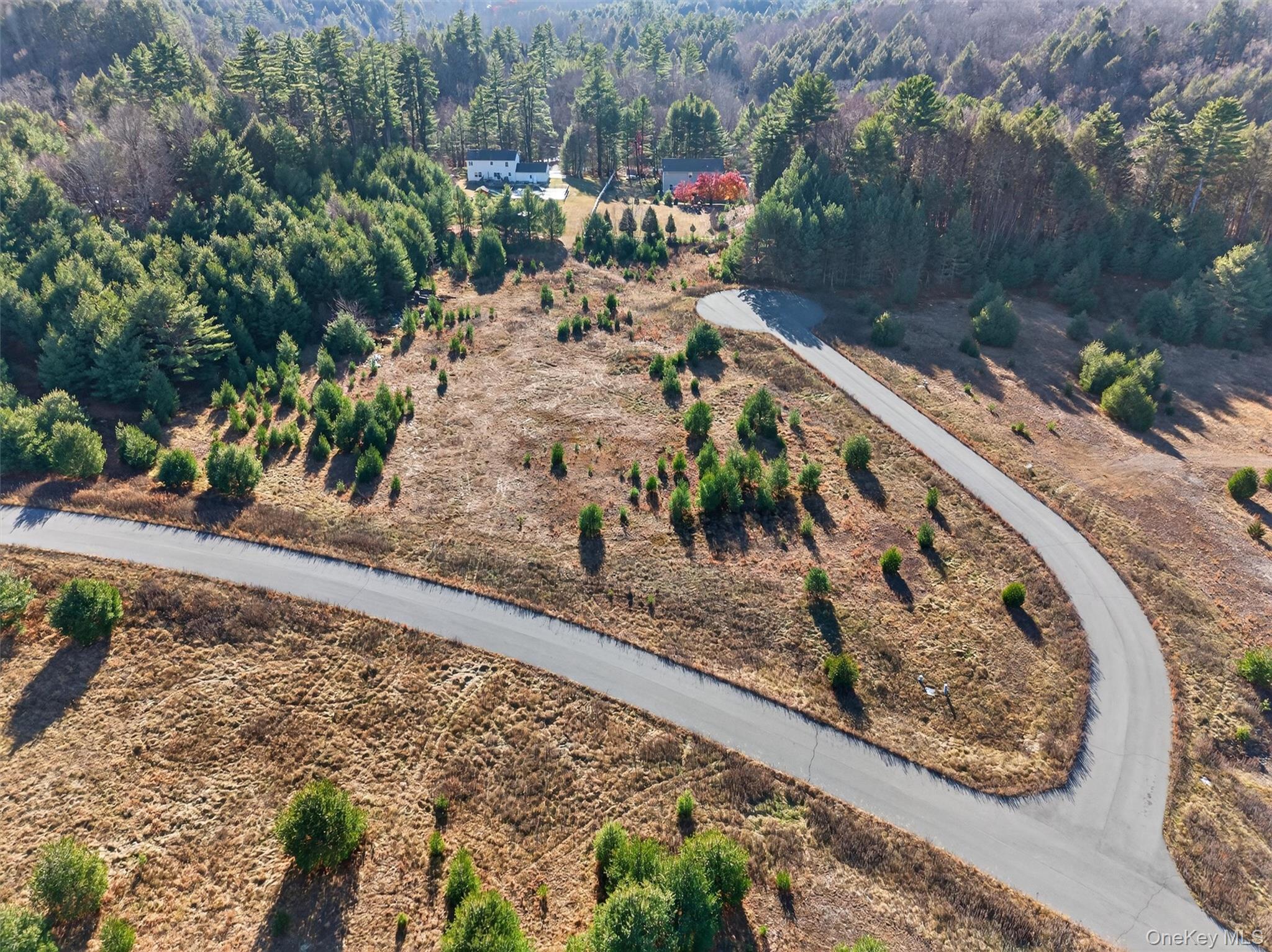 #2 photo, Marsh Road, Fallsburg , NY 12733