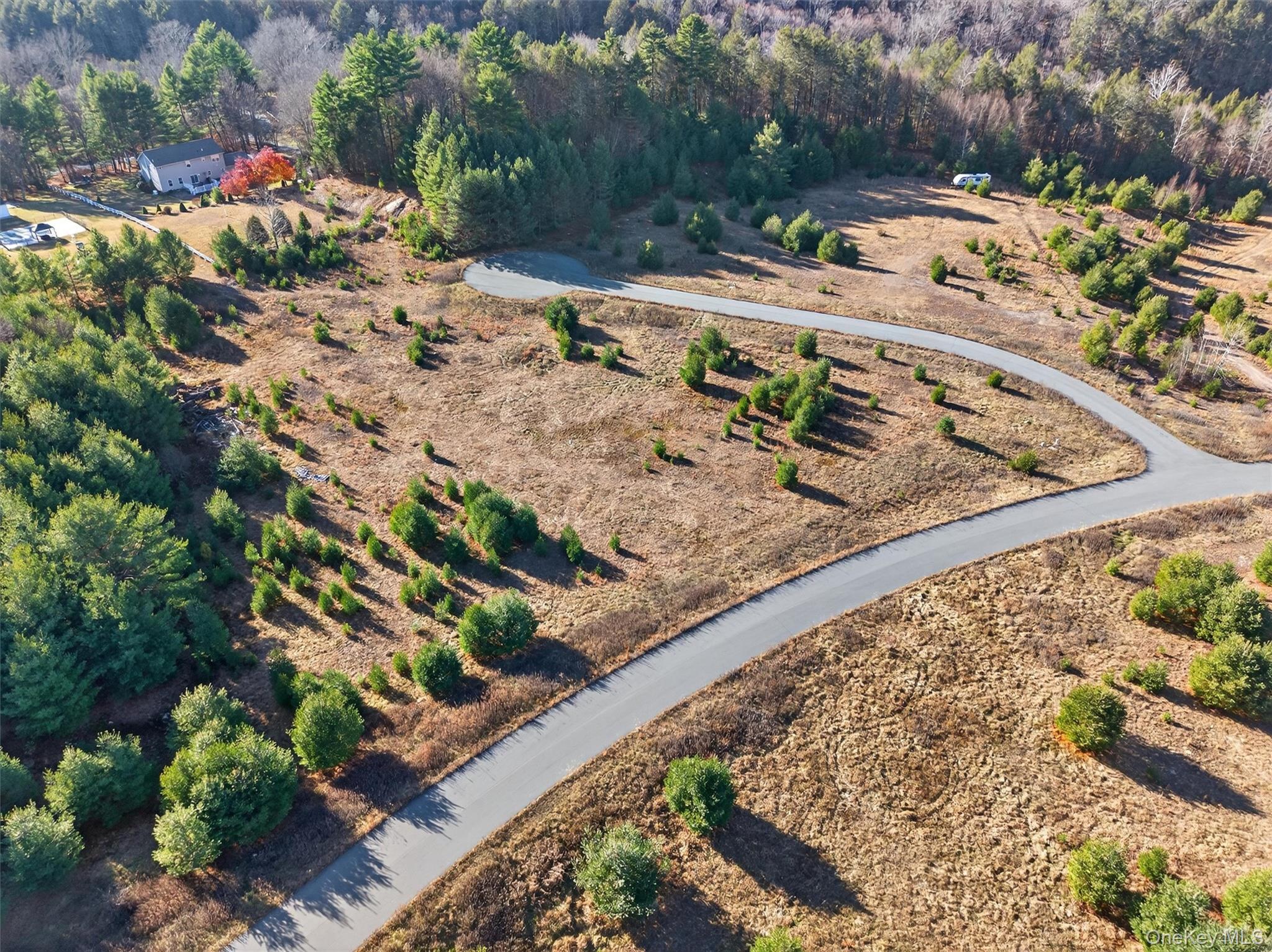 #3 photo, Marsh Road, Fallsburg , NY 12733