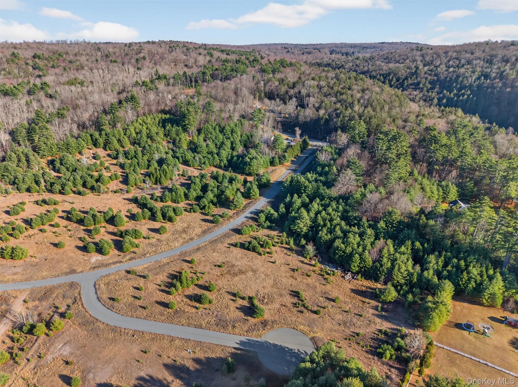 #6 photo, Marsh Road, Fallsburg , NY 12733