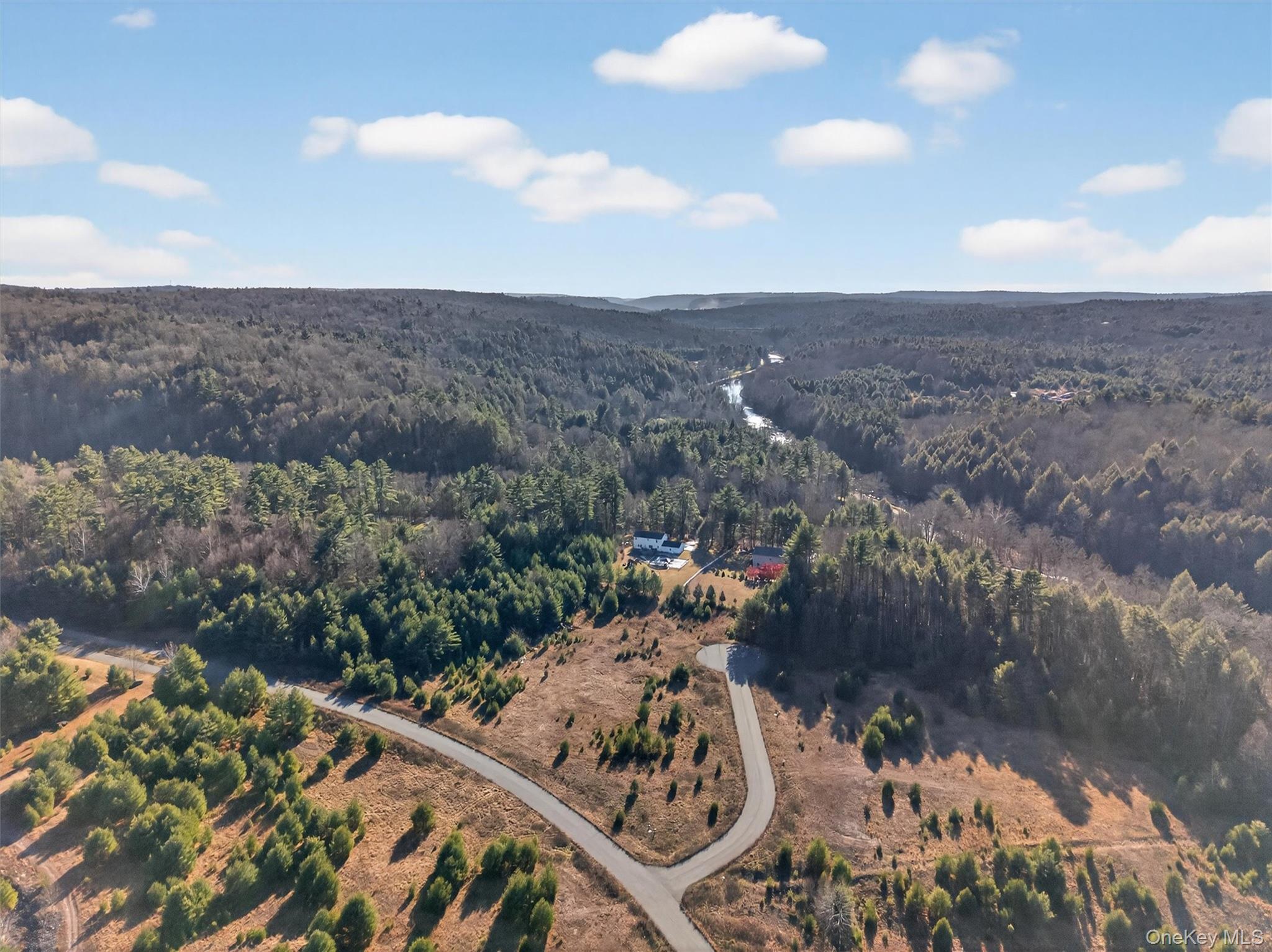 #8 photo, Marsh Road, Fallsburg , NY 12733