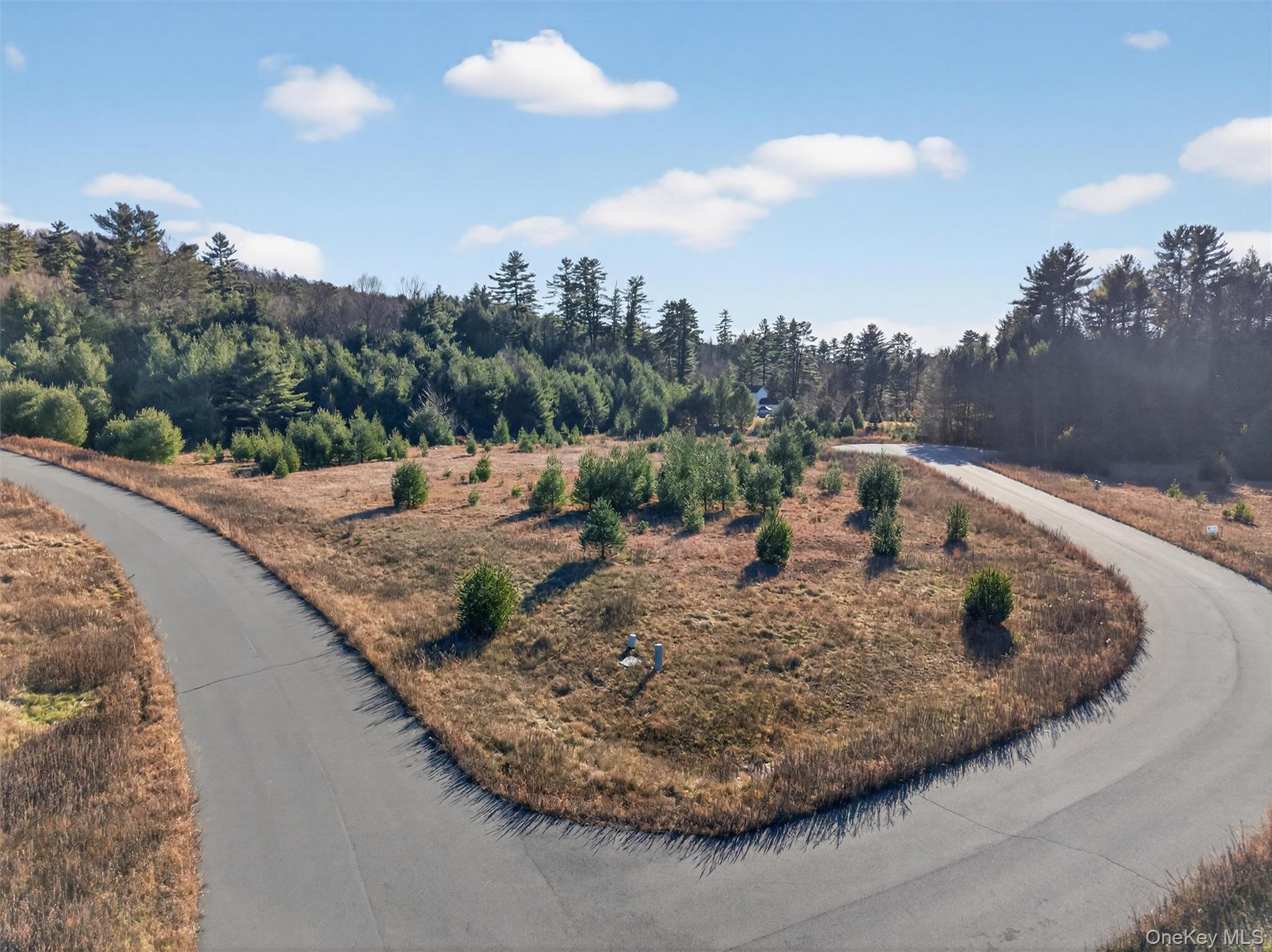 #9 photo, Marsh Road, Fallsburg , NY 12733