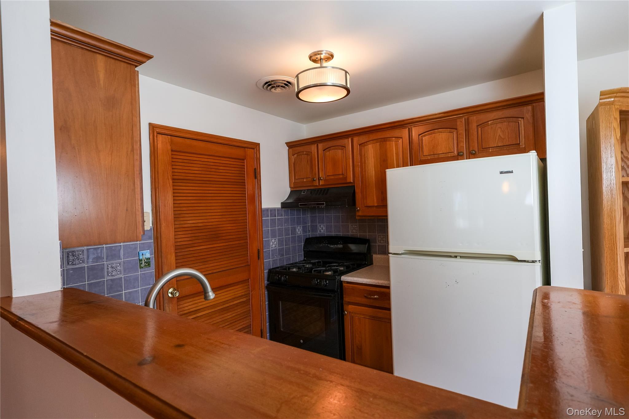 #9 photo, 1306 Rosewood Court, Highland Mills , NY 10930