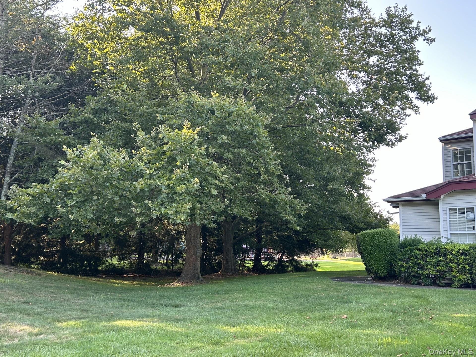 #4 photo, 5 Norfolk Court, Coram , NY 11727