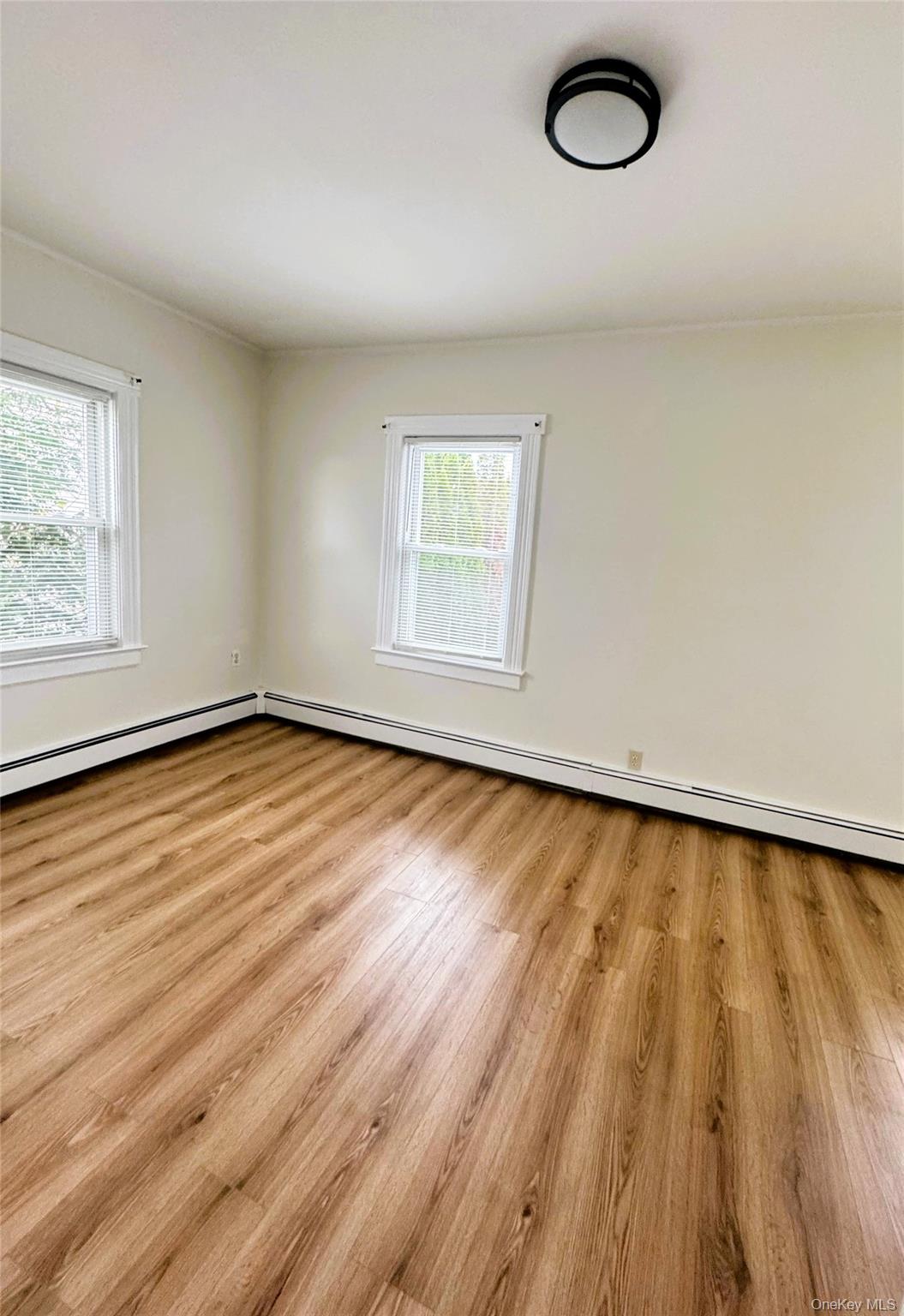 #8 photo, 35 1st Street, New Hyde Park , NY 11040