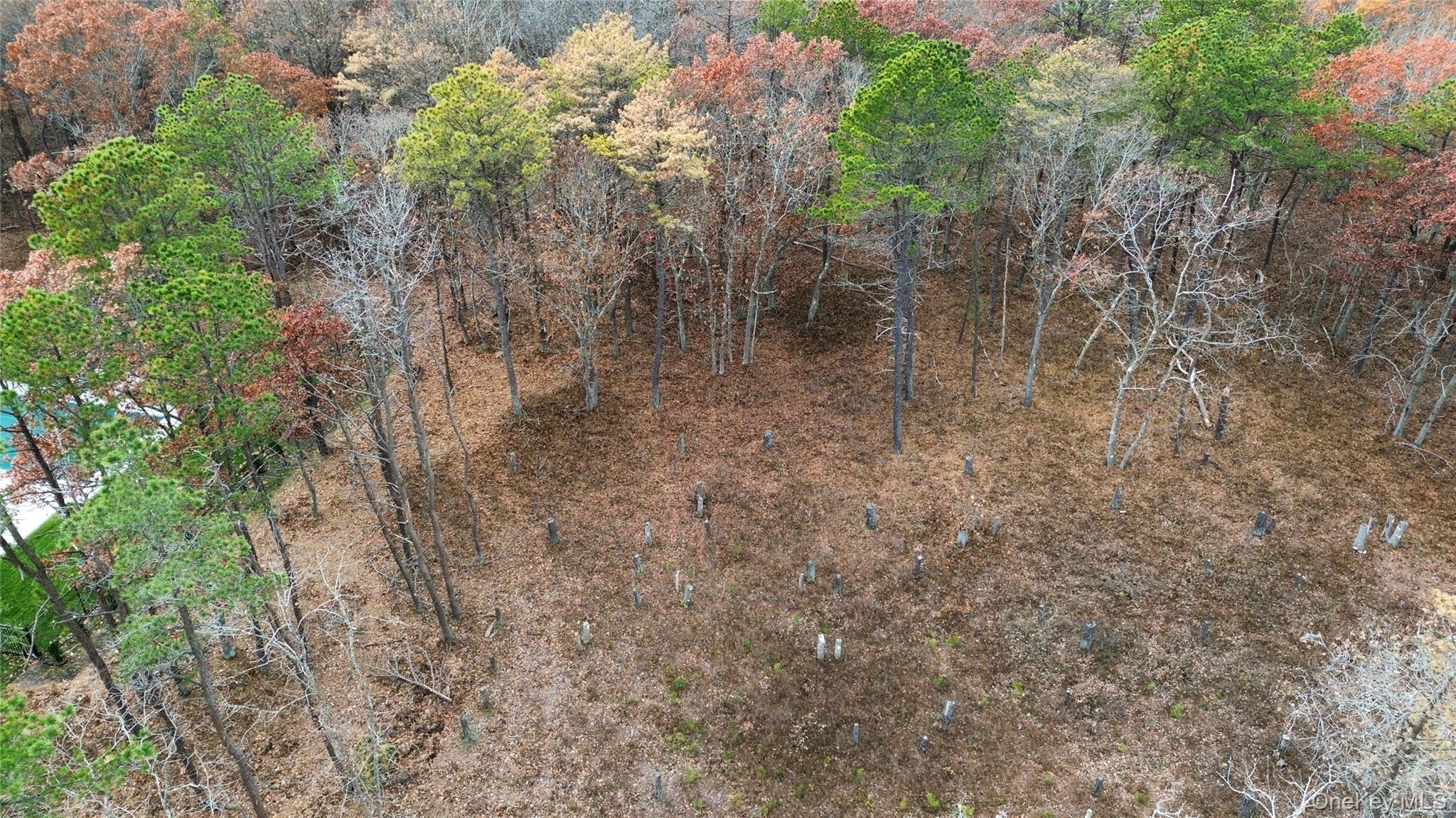 #2 photo, 16 Sophia Court, Westhampton , NY 11977