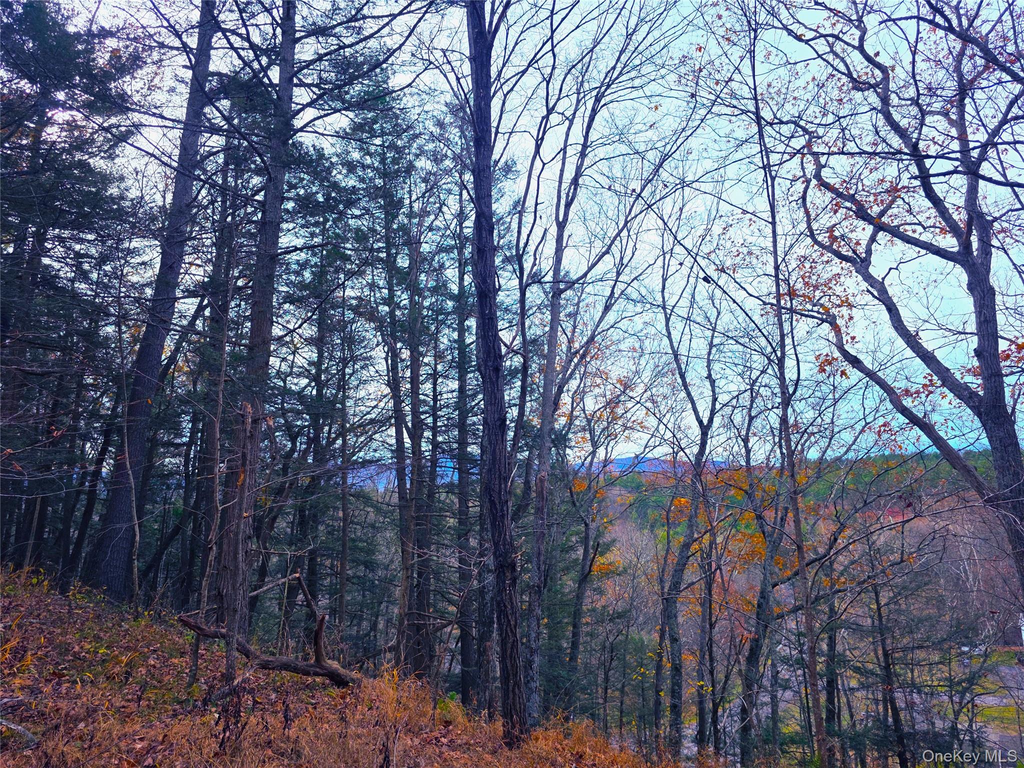 #2 photo, County Route 41, Cairo , NY 12413