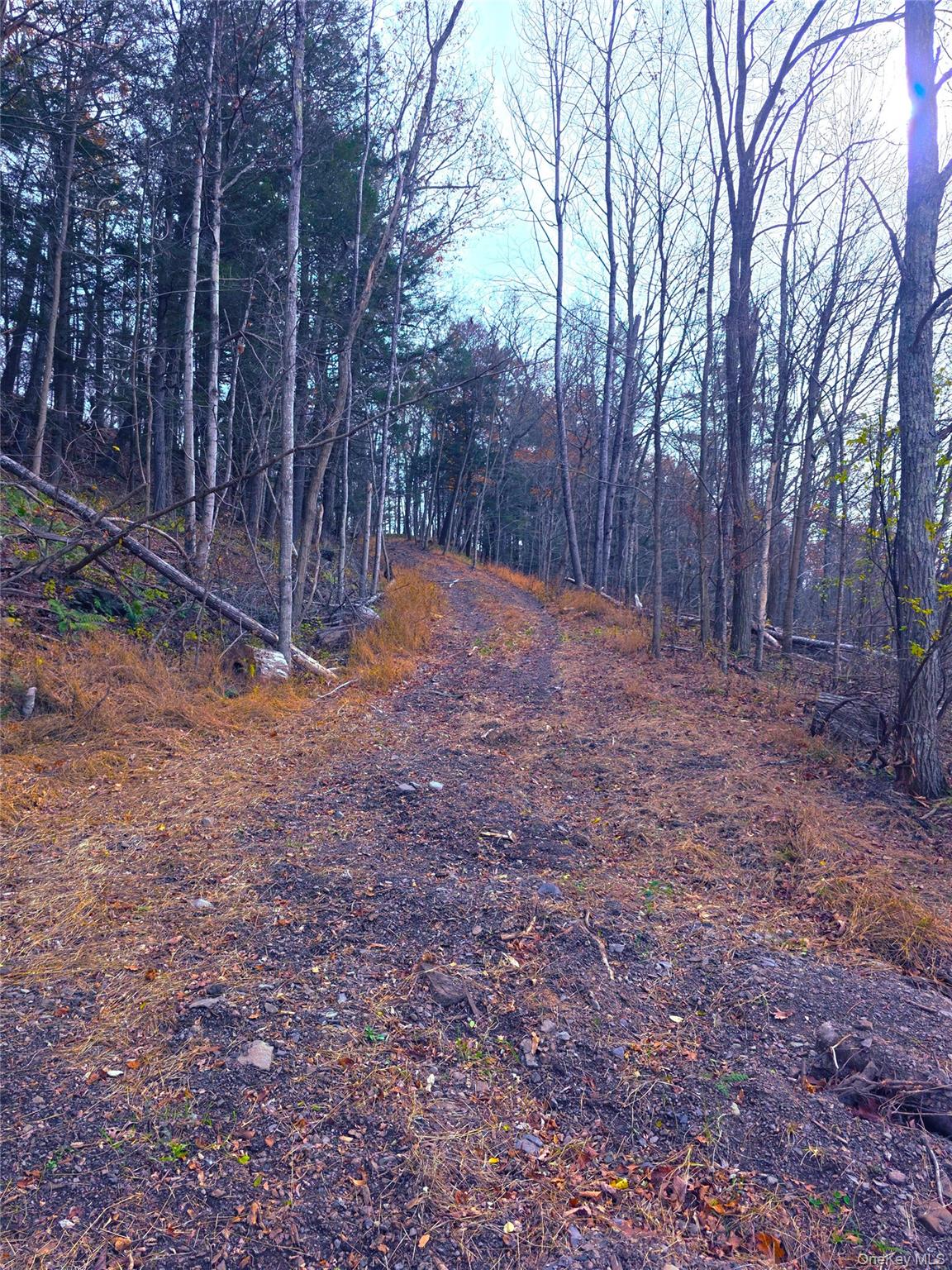 #5 photo, County Route 41, Cairo , NY 12413