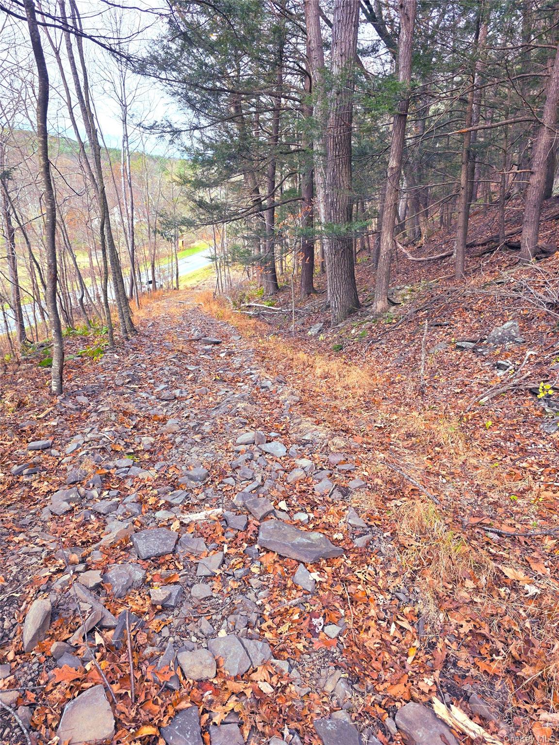 #6 photo, County Route 41, Cairo , NY 12413