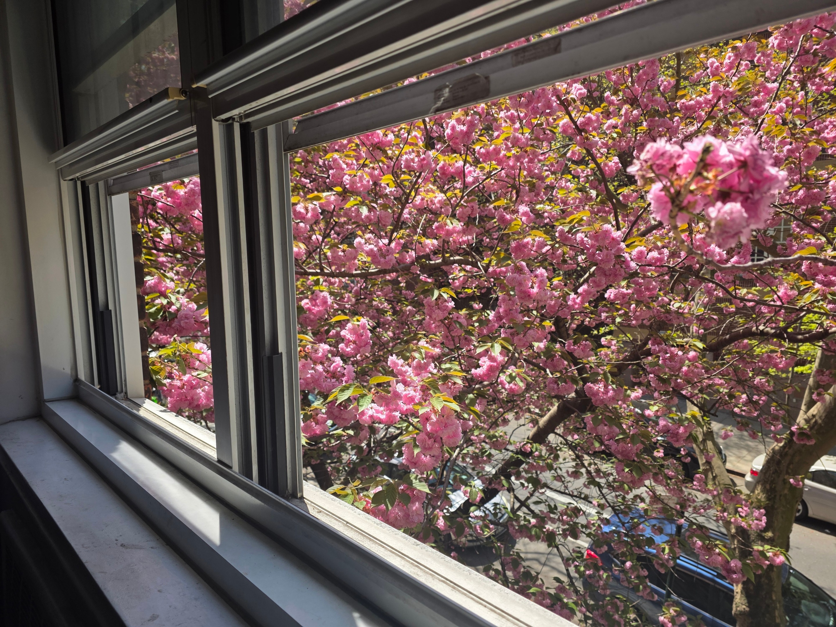 #4 photo, Jackson Heights, Jackson Heights , NY 11372