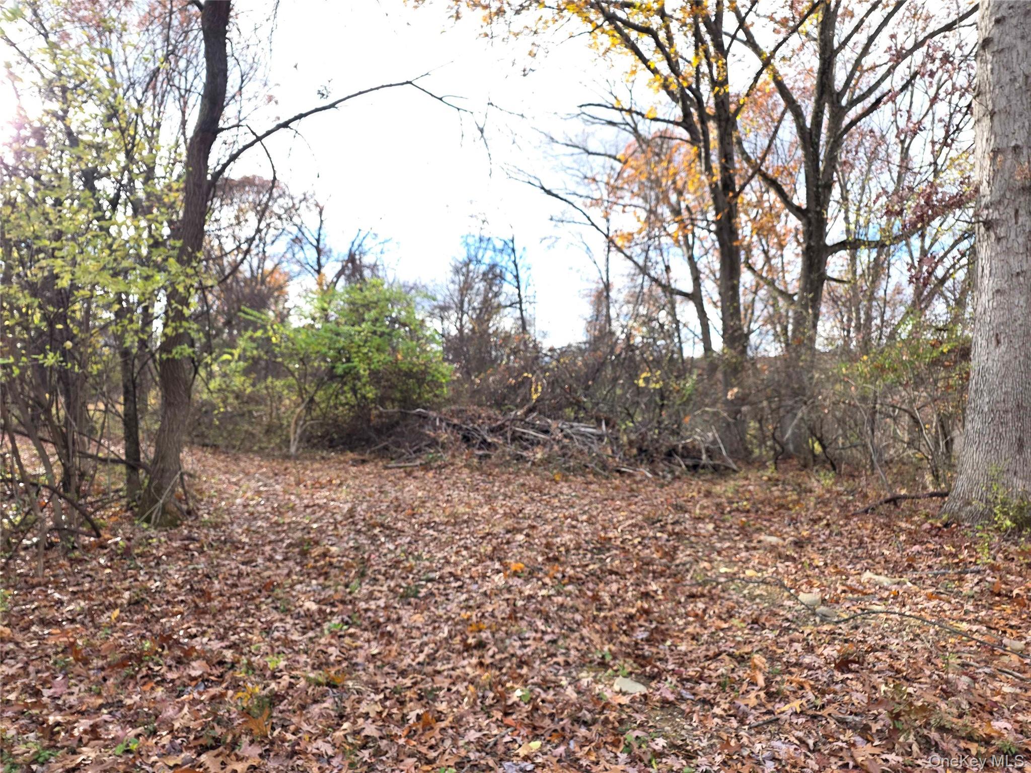 #4 photo, Athboy Road, Marlboro , NY 12542