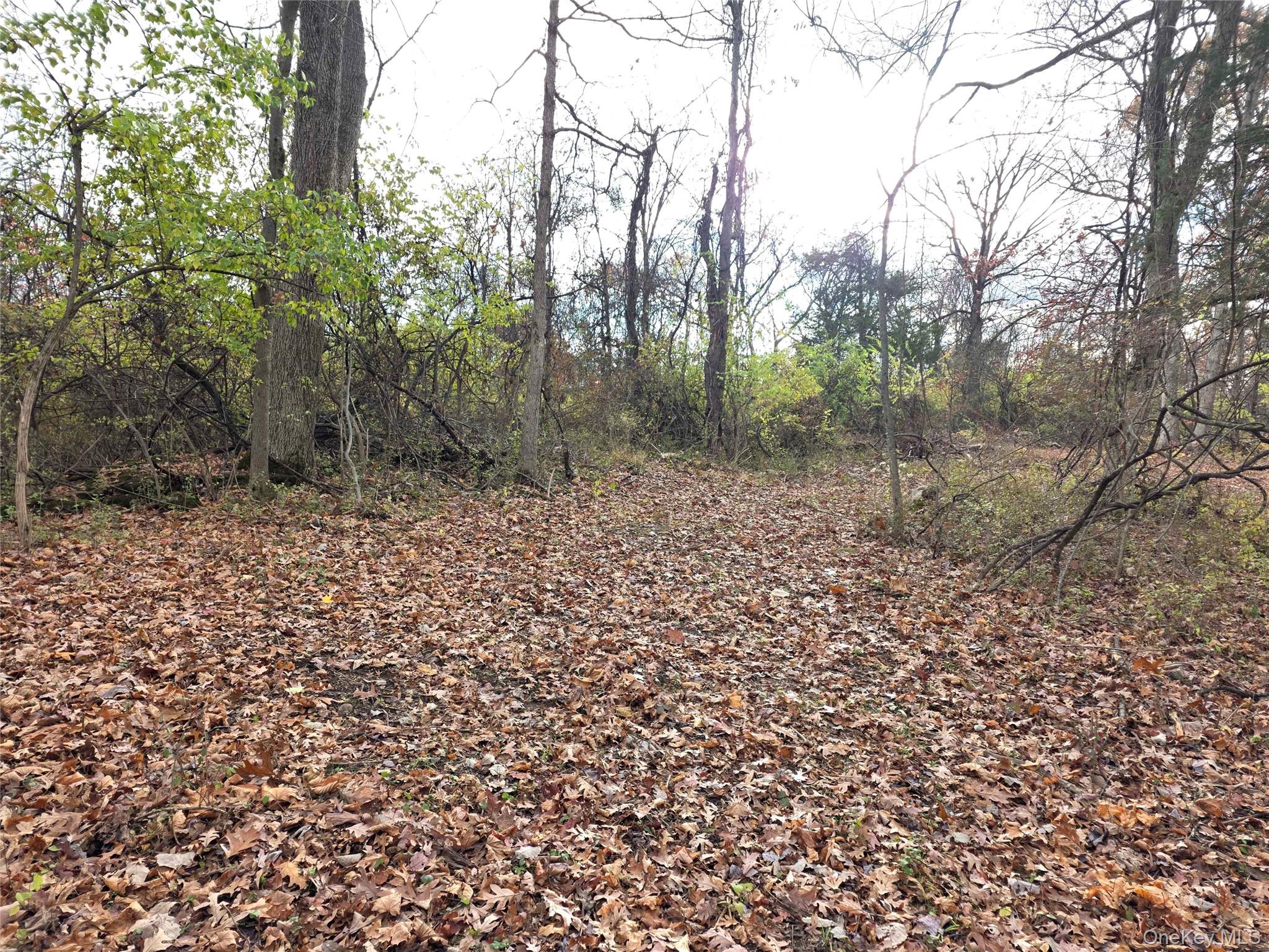 #6 photo, Athboy Road, Marlboro , NY 12542