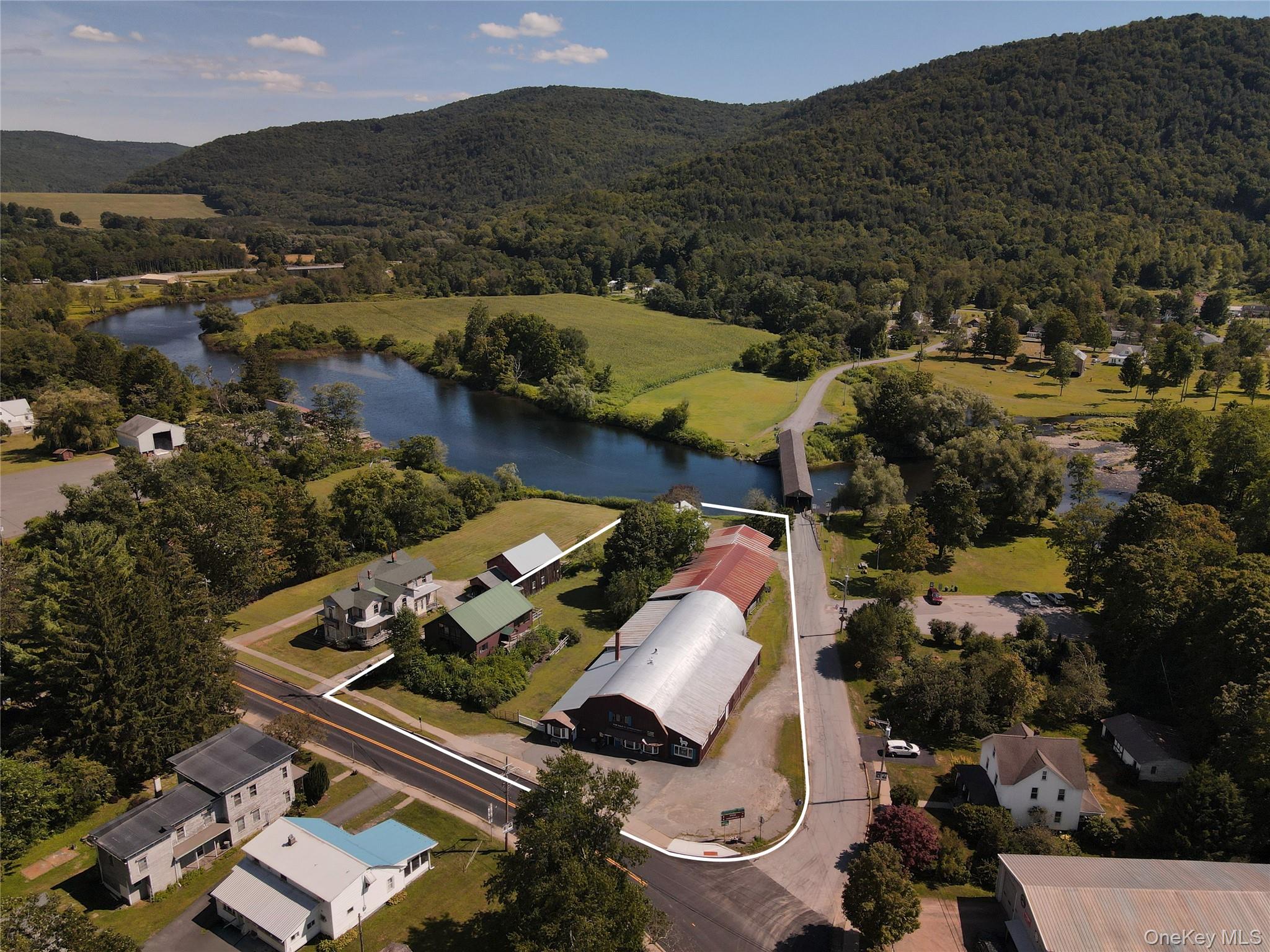 #1 photo, 1 Bridge Street, Downsville , NY 13755