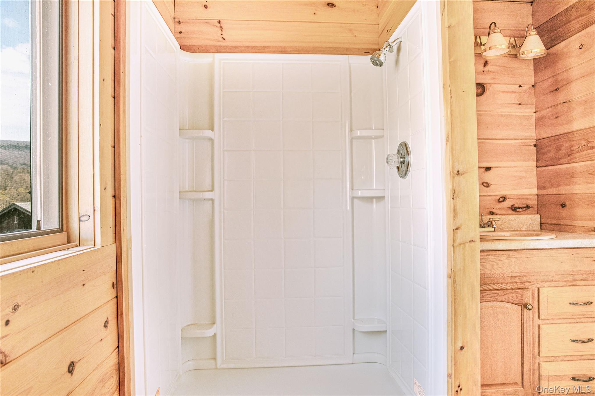 #12 photo, 1 Bridge Street, Downsville , NY 13755