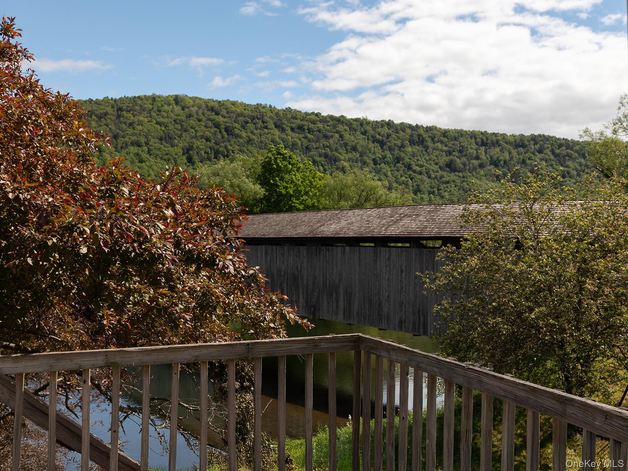 #5 photo, 1 Bridge Street, Downsville , NY 13755