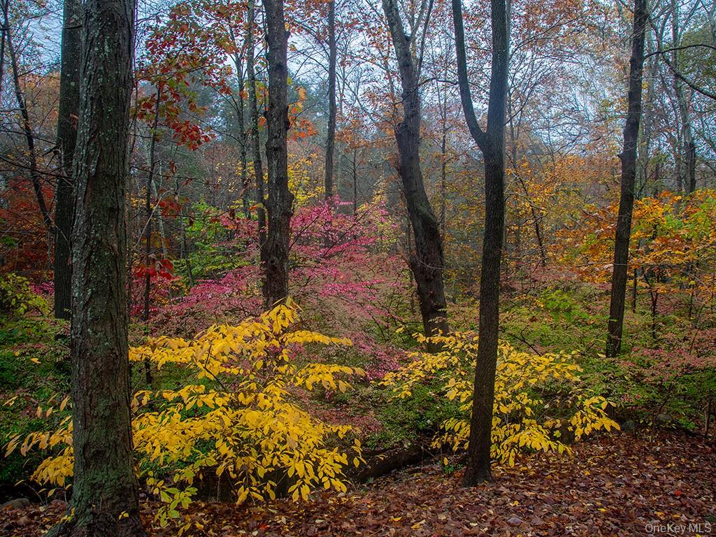 #2 photo, 3 Chapin Trail, White Lake , NY 12786