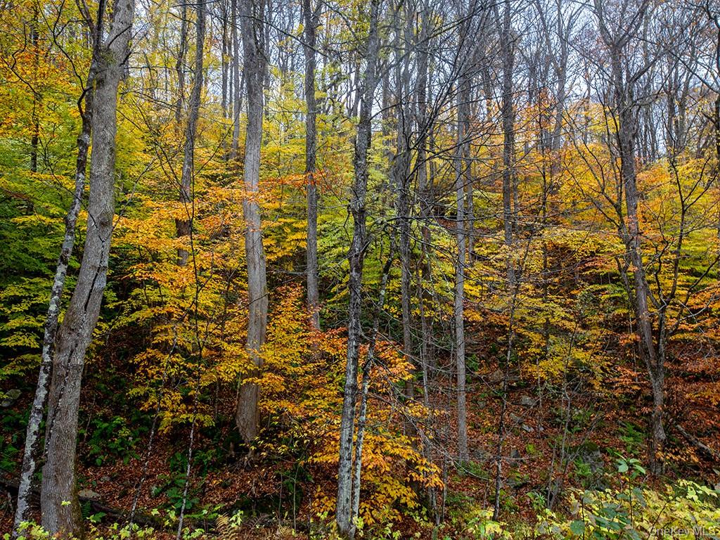 #3 photo, 3 Chapin Trail, White Lake , NY 12786