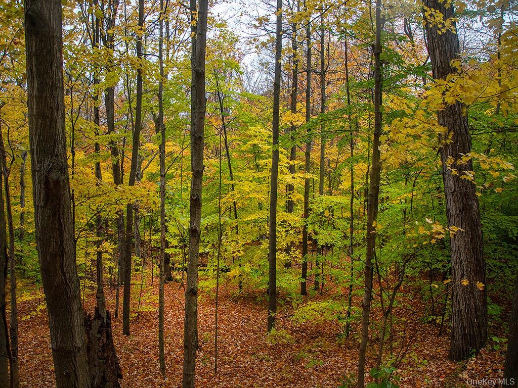 #5 photo, 3 Chapin Trail, White Lake , NY 12786