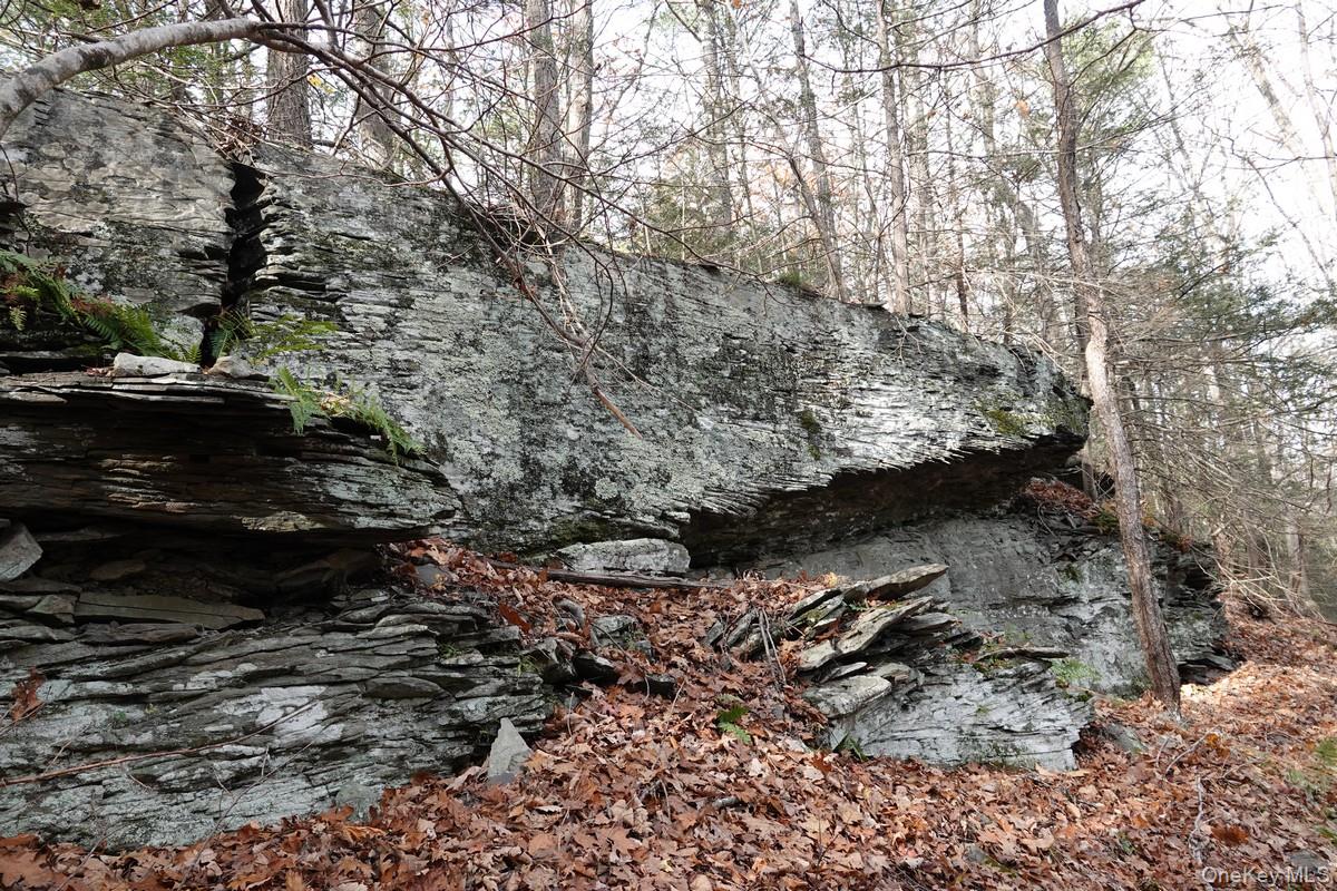 #10 photo, 738 Manorville Road, Saugerties , NY 12477