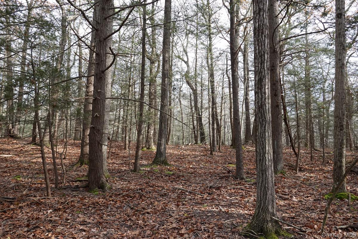 #13 photo, 738 Manorville Road, Saugerties , NY 12477