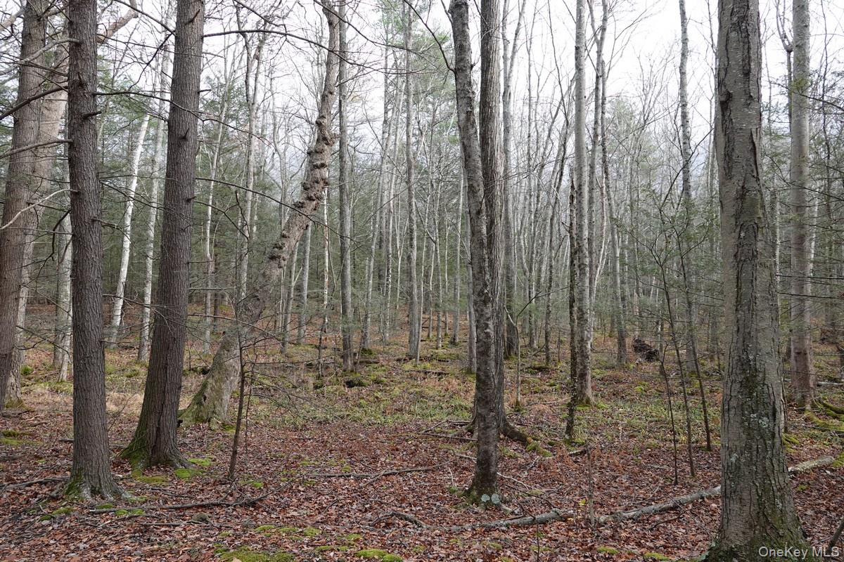 #14 photo, 738 Manorville Road, Saugerties , NY 12477