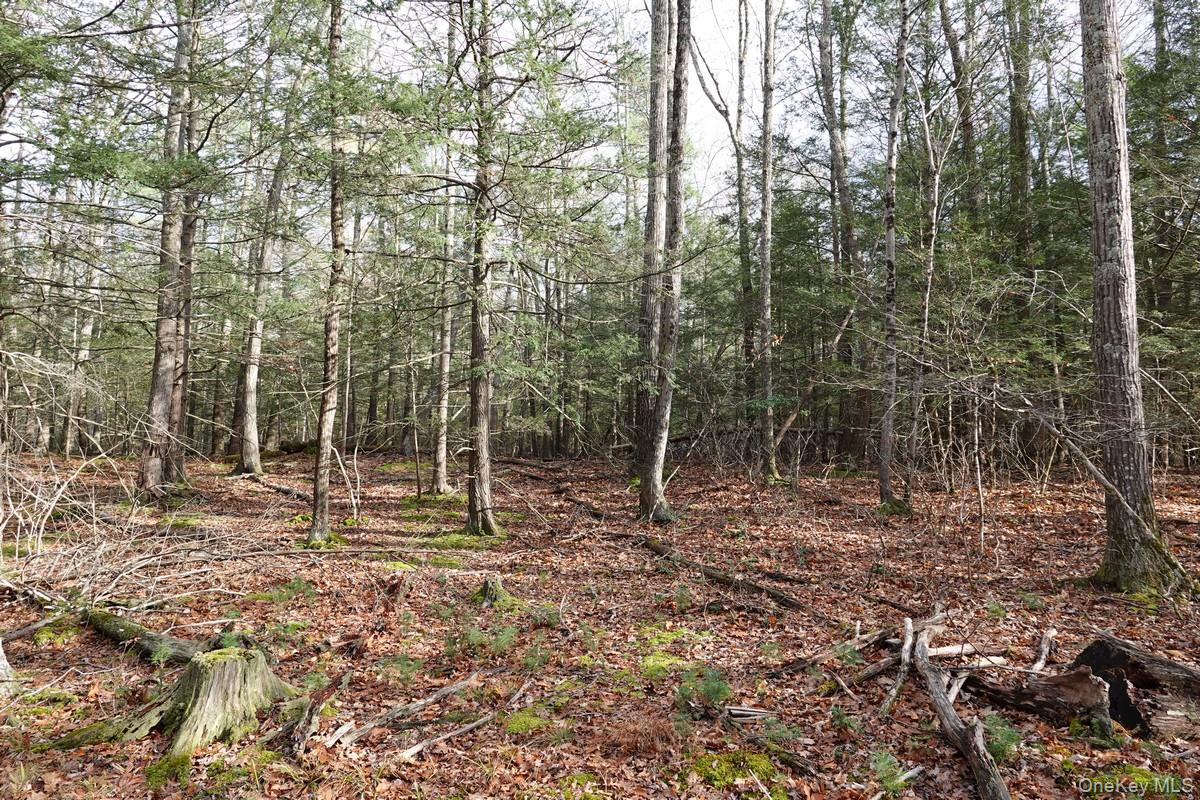 #2 photo, 738 Manorville Road, Saugerties , NY 12477