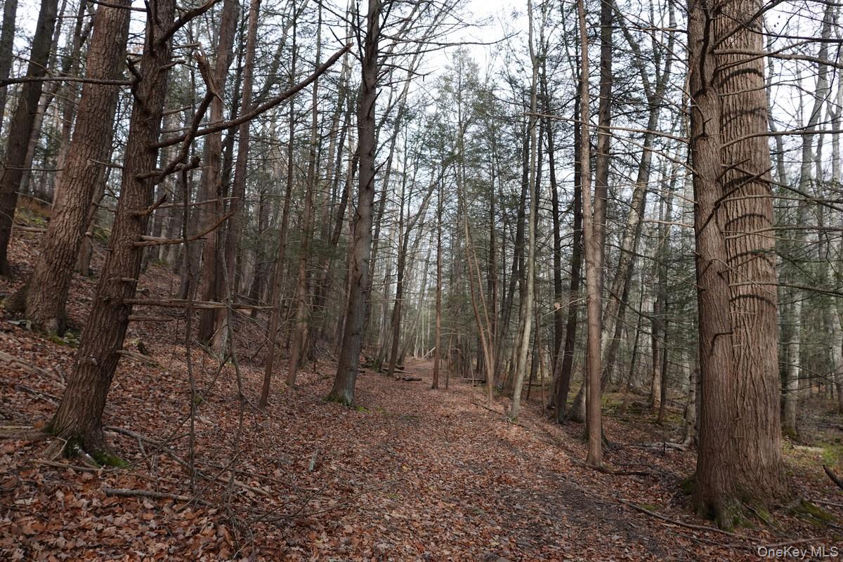 #3 photo, 738 Manorville Road, Saugerties , NY 12477