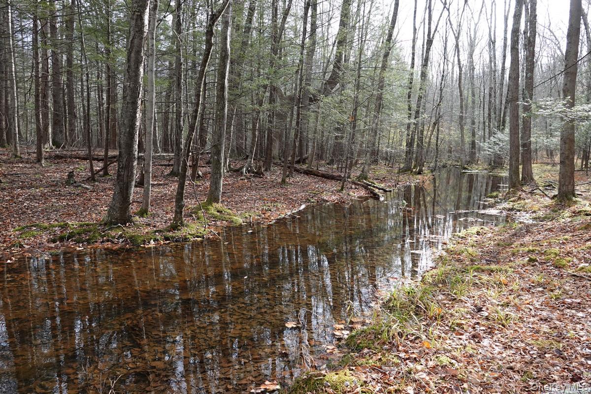 #5 photo, 738 Manorville Road, Saugerties , NY 12477