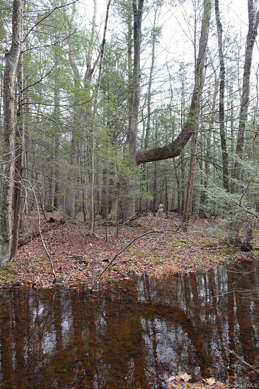 #6 photo, 738 Manorville Road, Saugerties , NY 12477