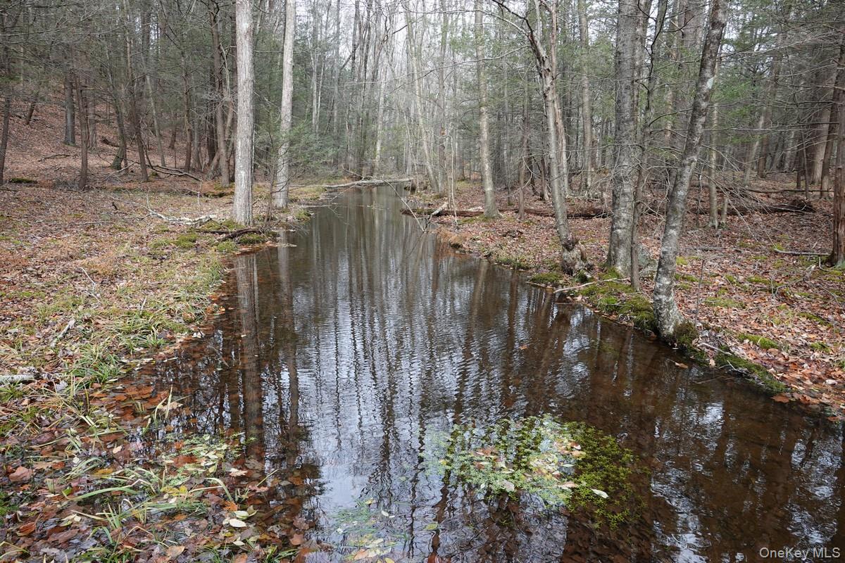 #7 photo, 738 Manorville Road, Saugerties , NY 12477