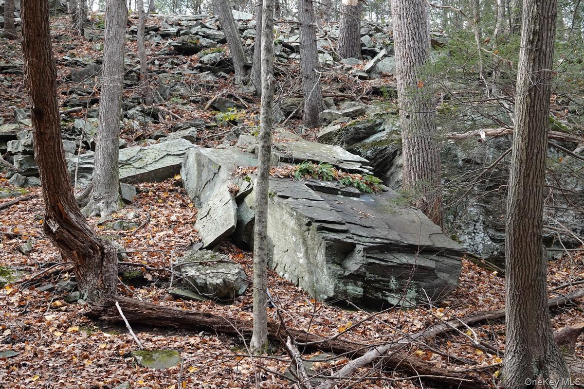 #9 photo, 738 Manorville Road, Saugerties , NY 12477