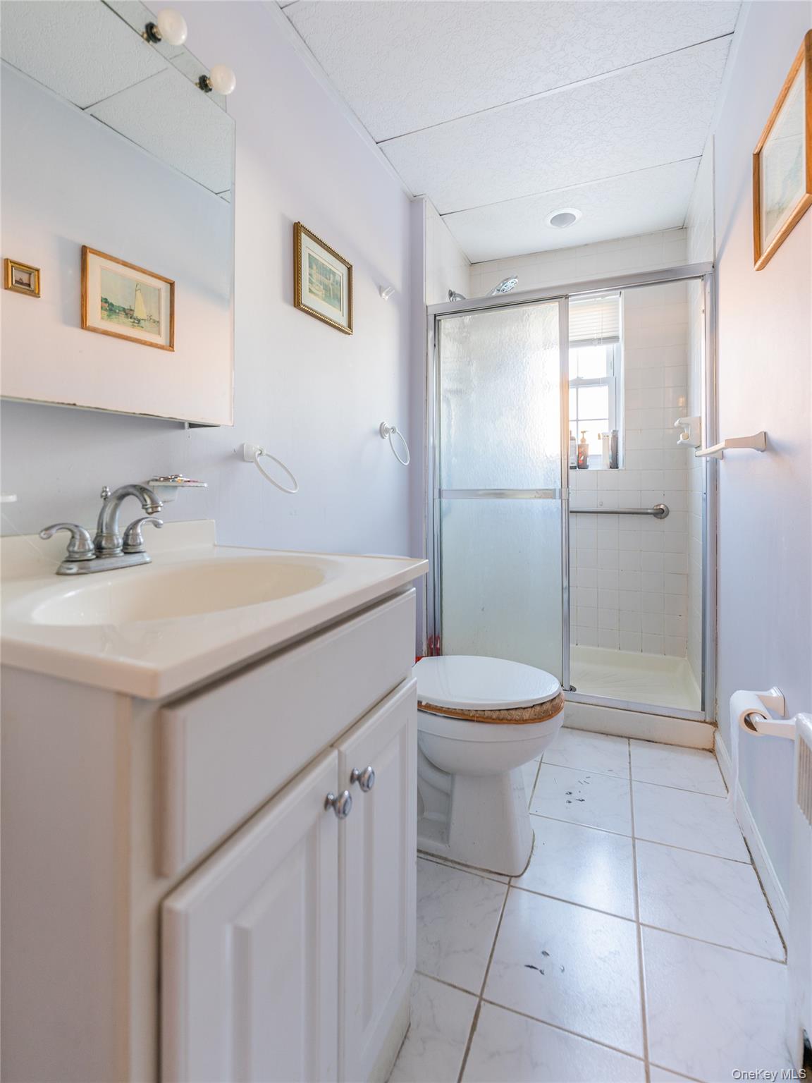 #14 photo, 43 floral blvd, Floral Park , NY 11001