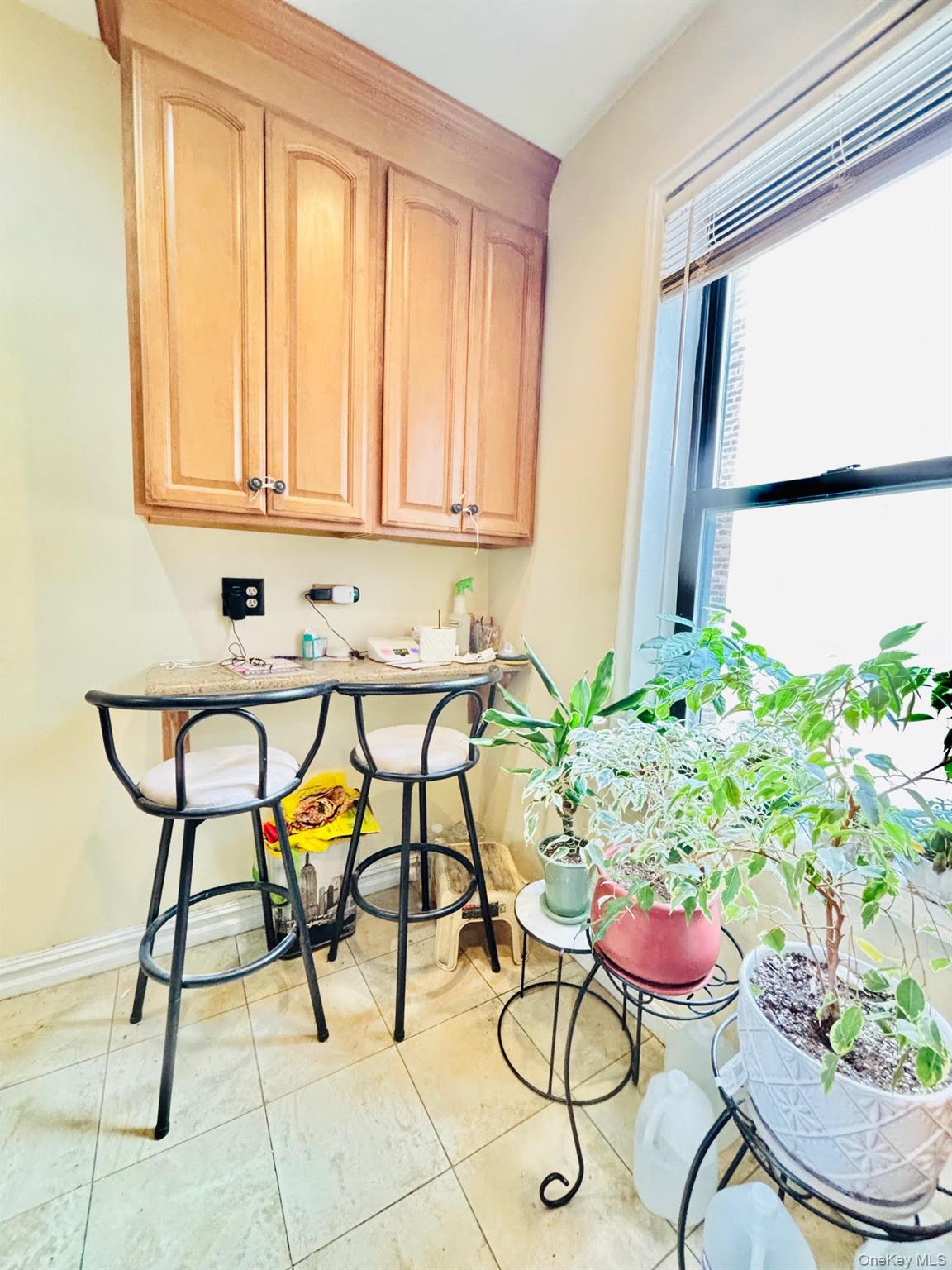 #8 photo, 1171 Ocean Parkway, Brooklyn , NY 11230