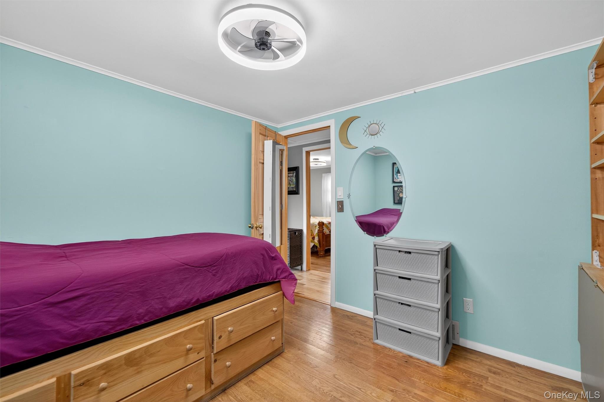 #20 photo, 27-29 W Conkling Avenue, Middletown , NY 10940