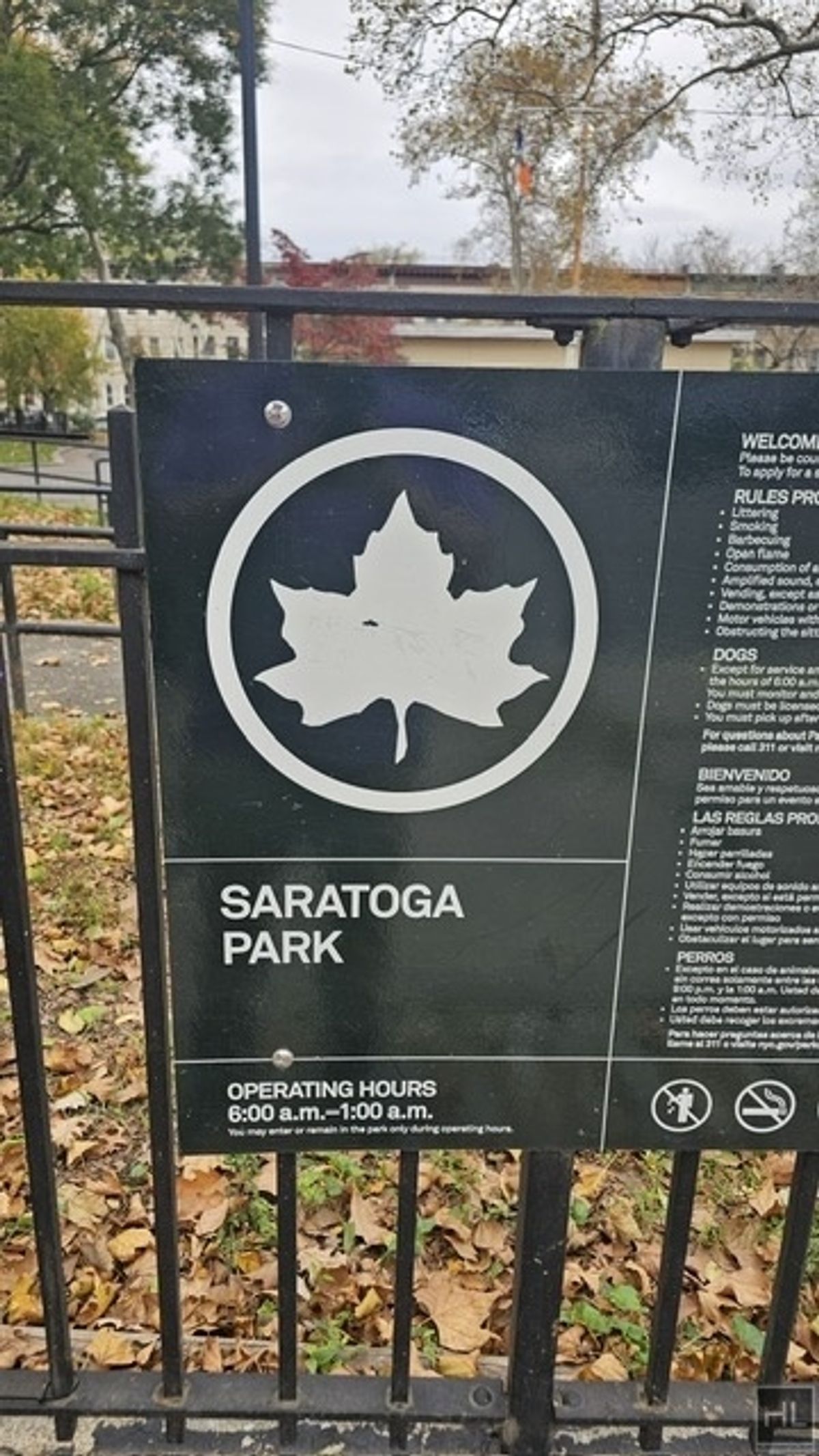 #18 photo, 788 Macon Street, ブルックリン区 Bedford-Stuyvesant , NY 11233